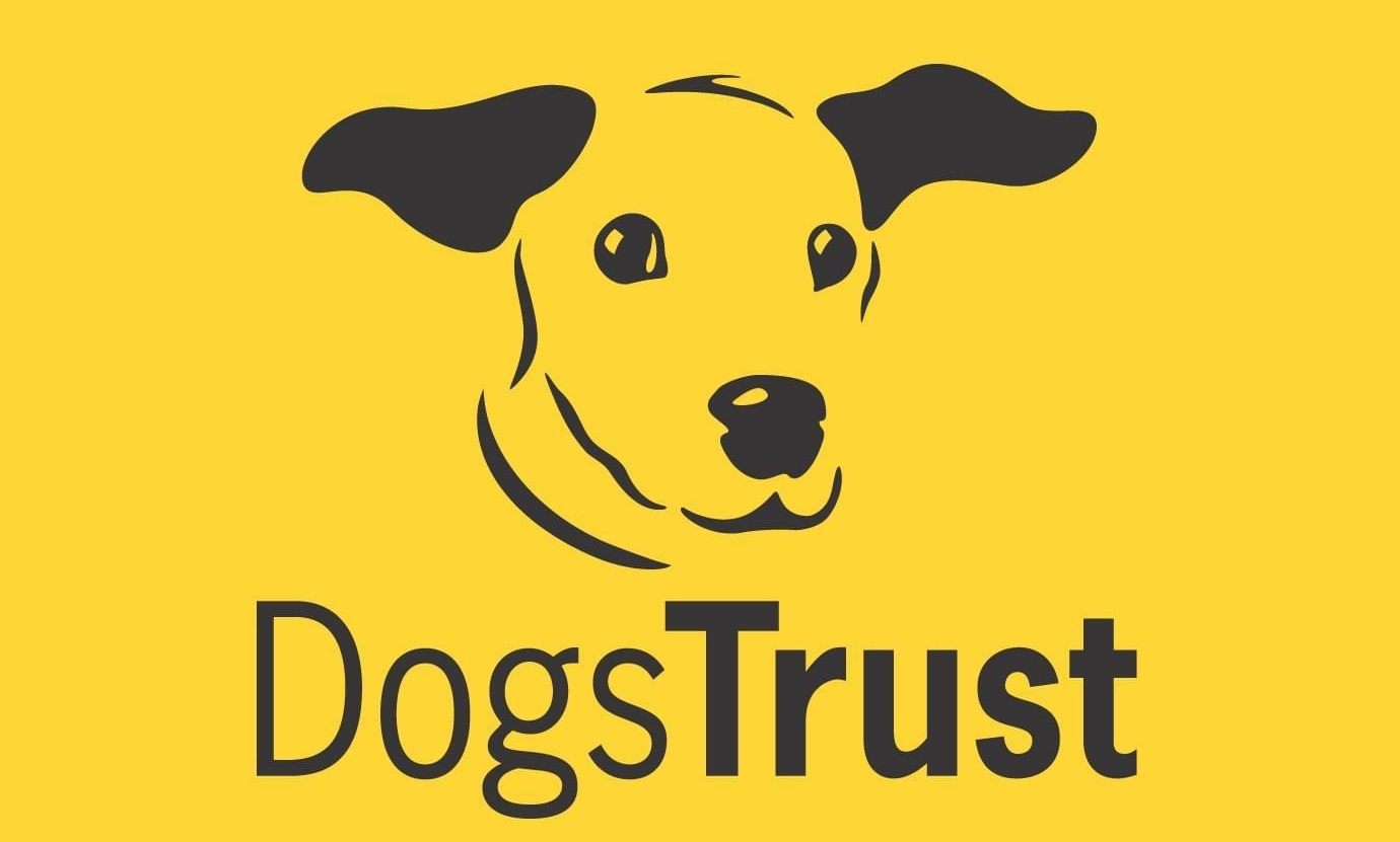 Projekt ＂Dogs Trust＂