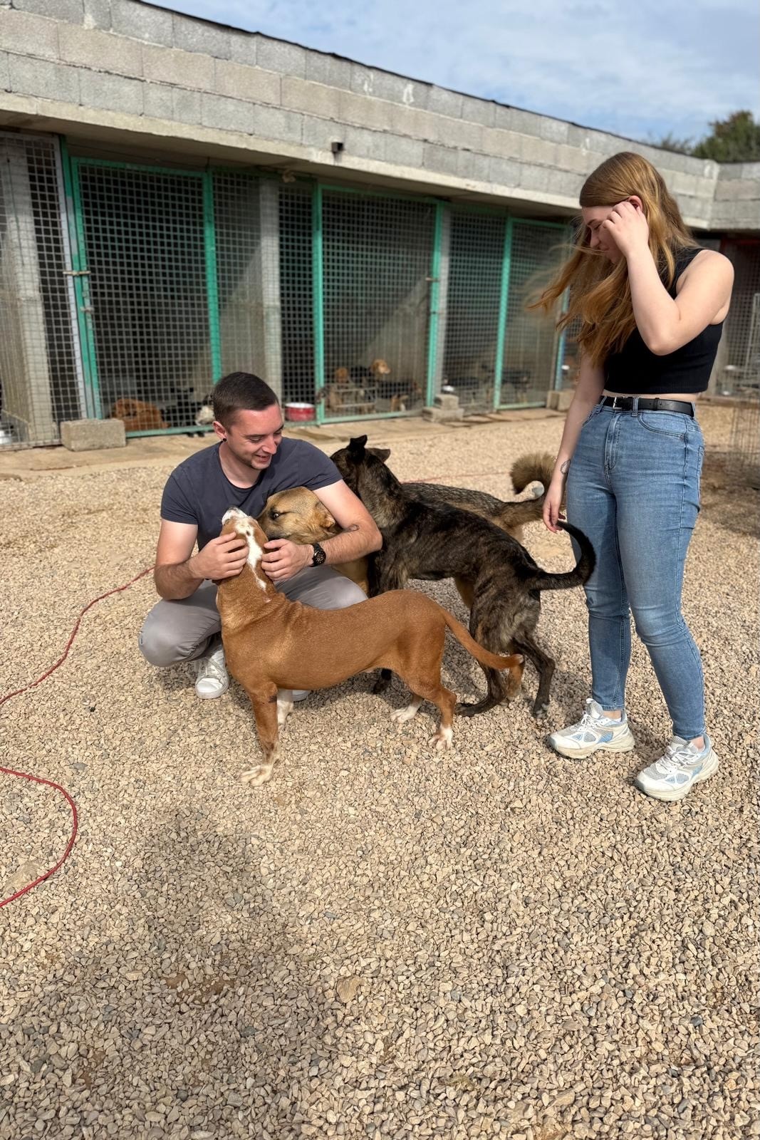 251018_Watson_Beethoven_Hoku