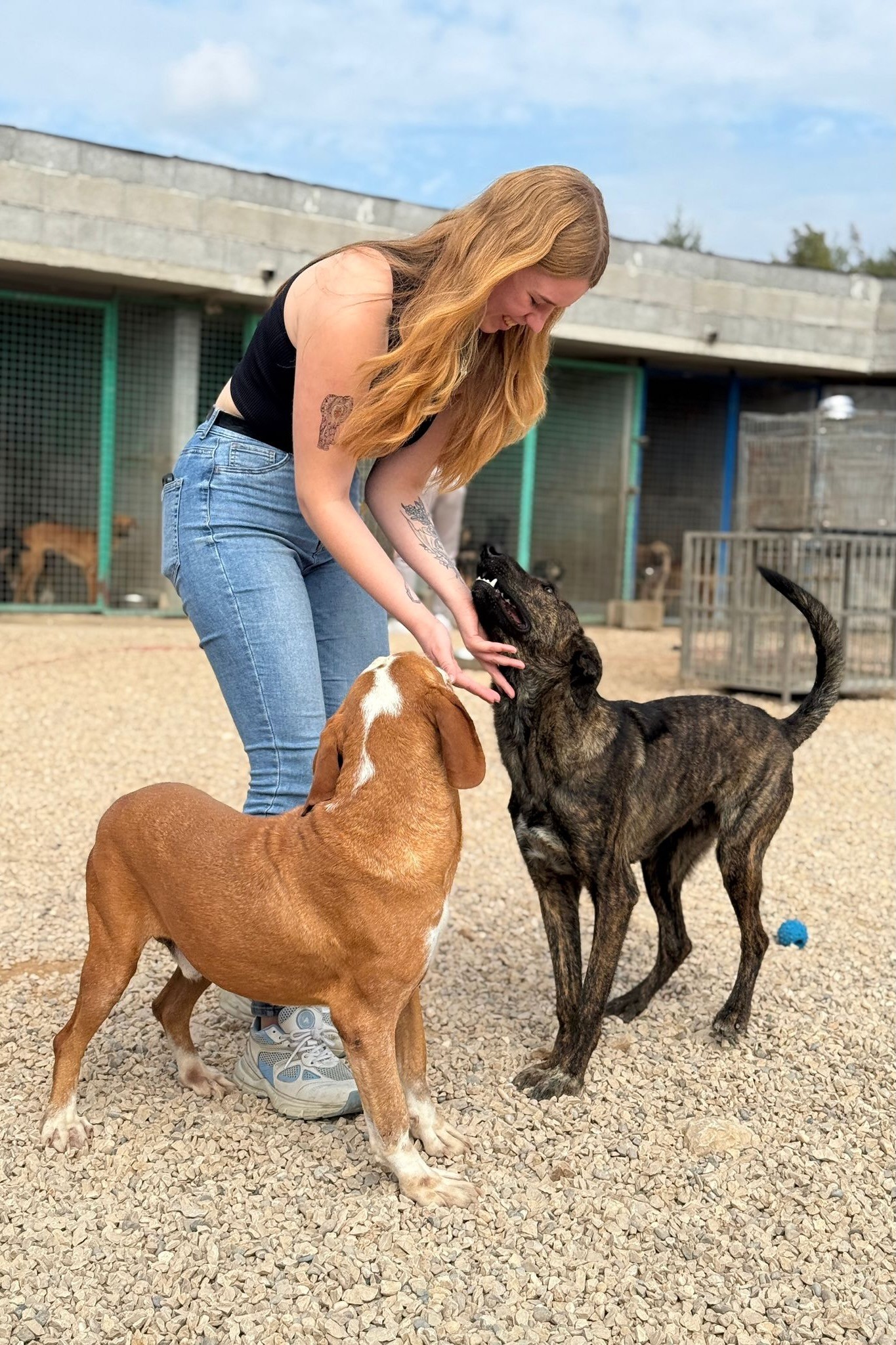 251018_Watson_Hoku – 1