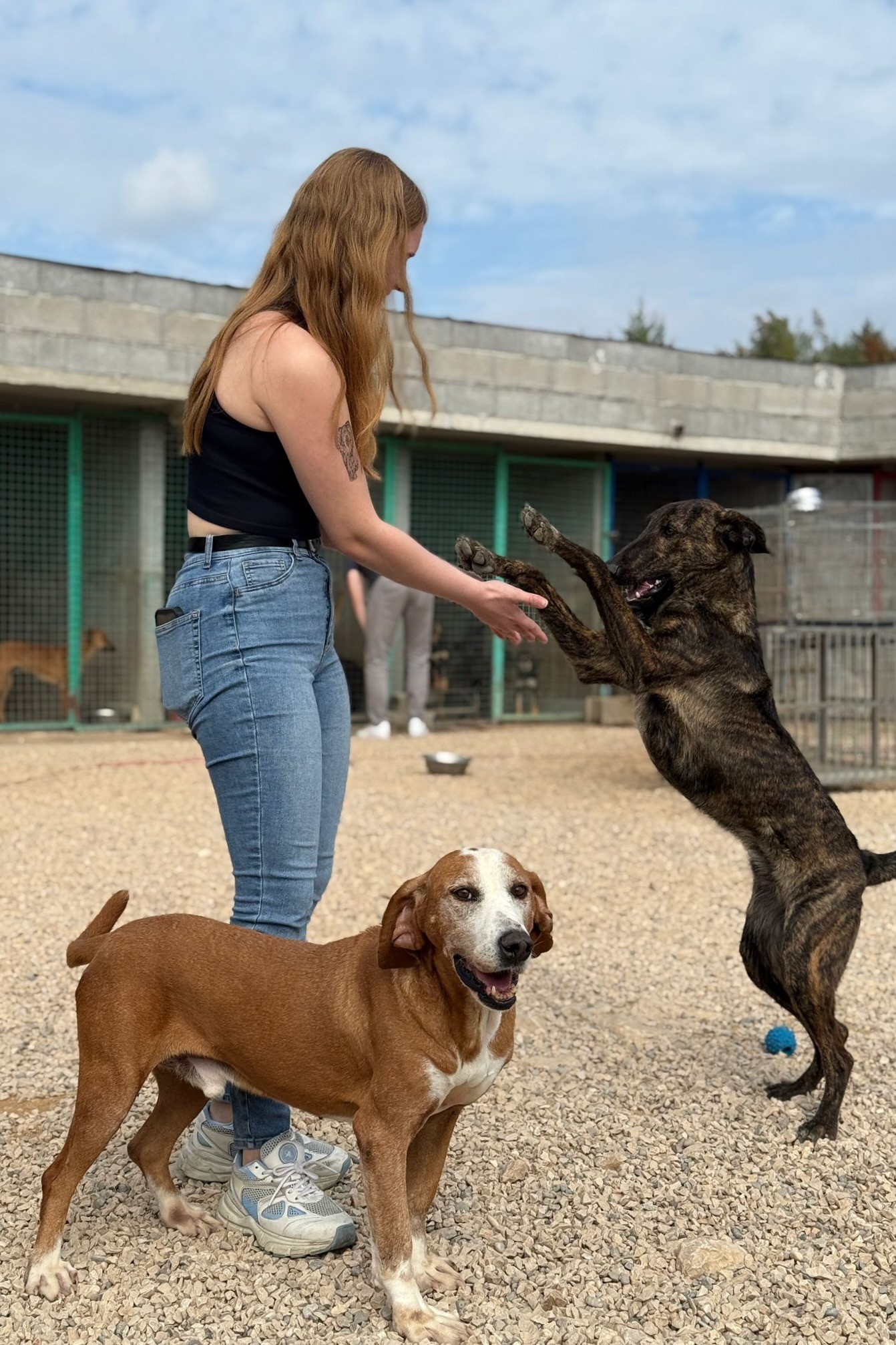 251018_Watson_Hoku – 2