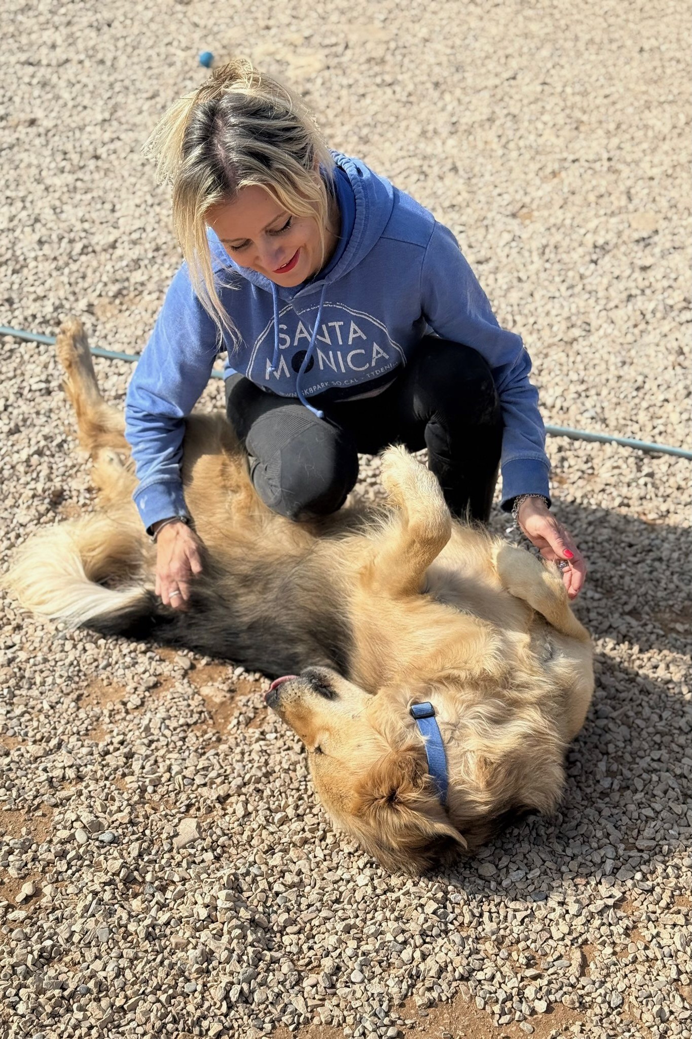 251018_Gulliver – 1