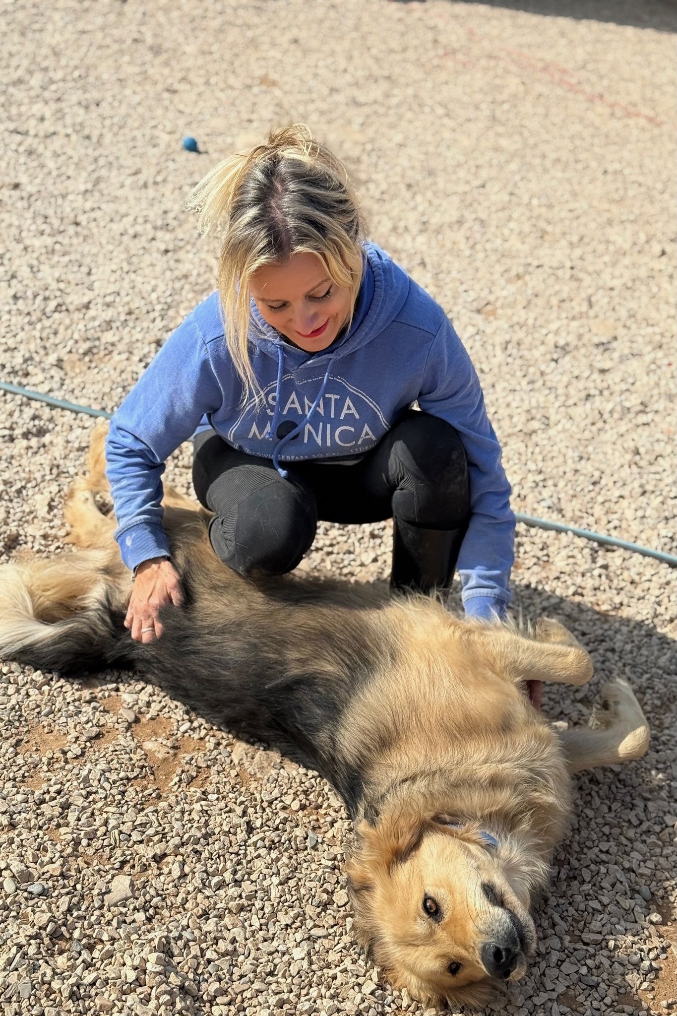 251018_Gulliver – 2