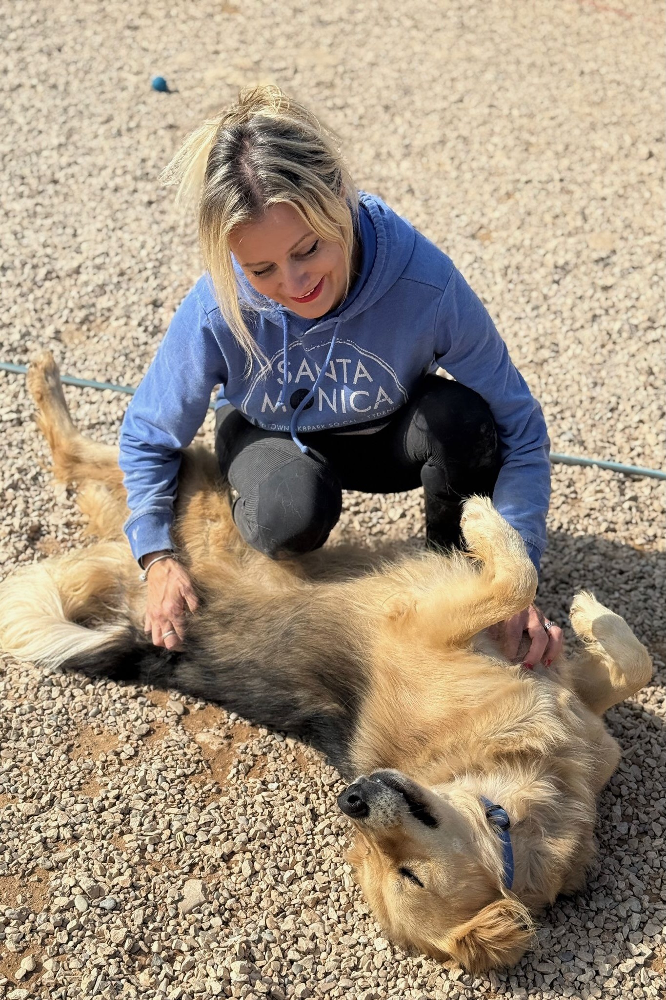 251018_Gulliver – 3