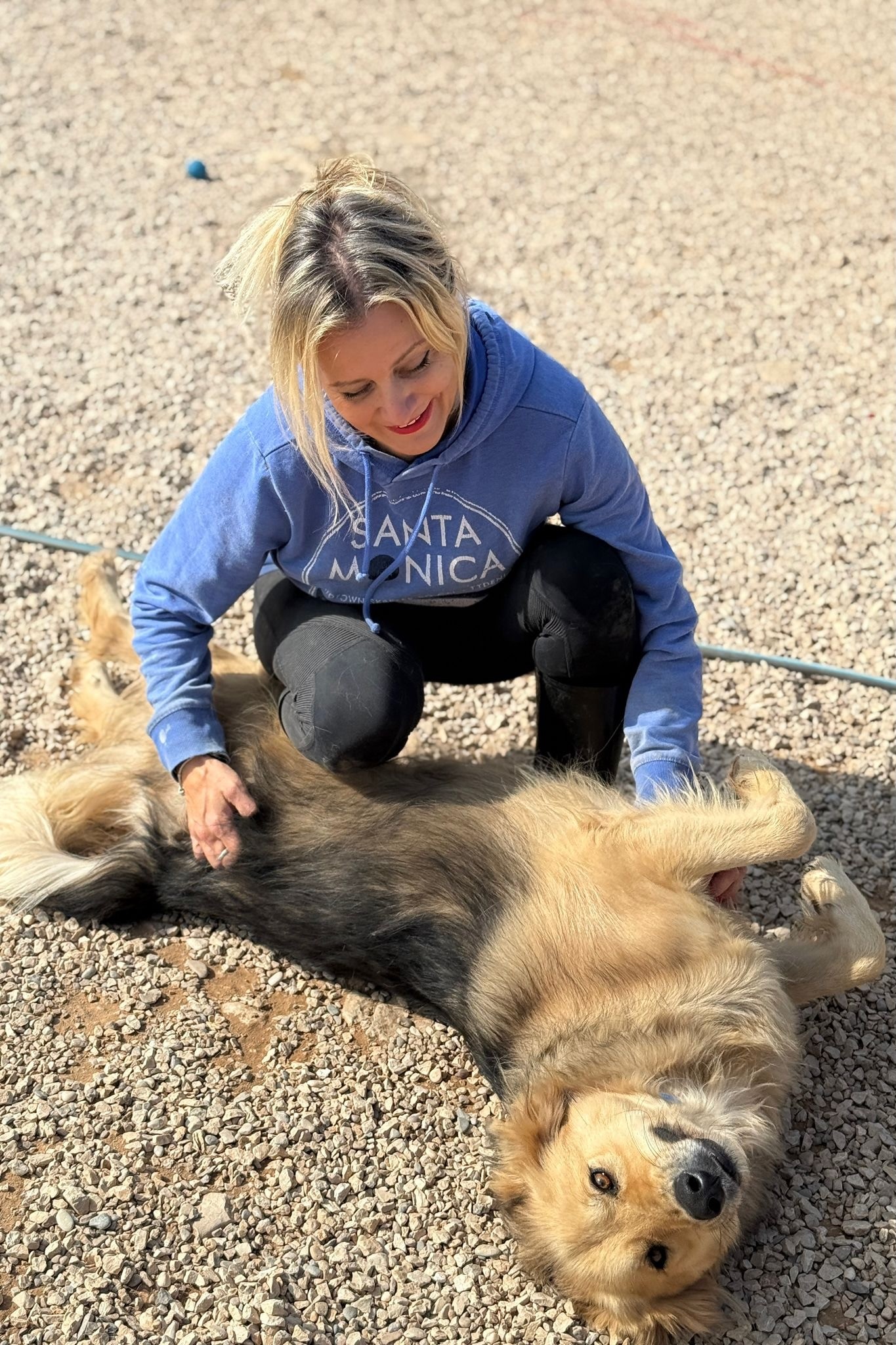 251018_Gulliver – 4