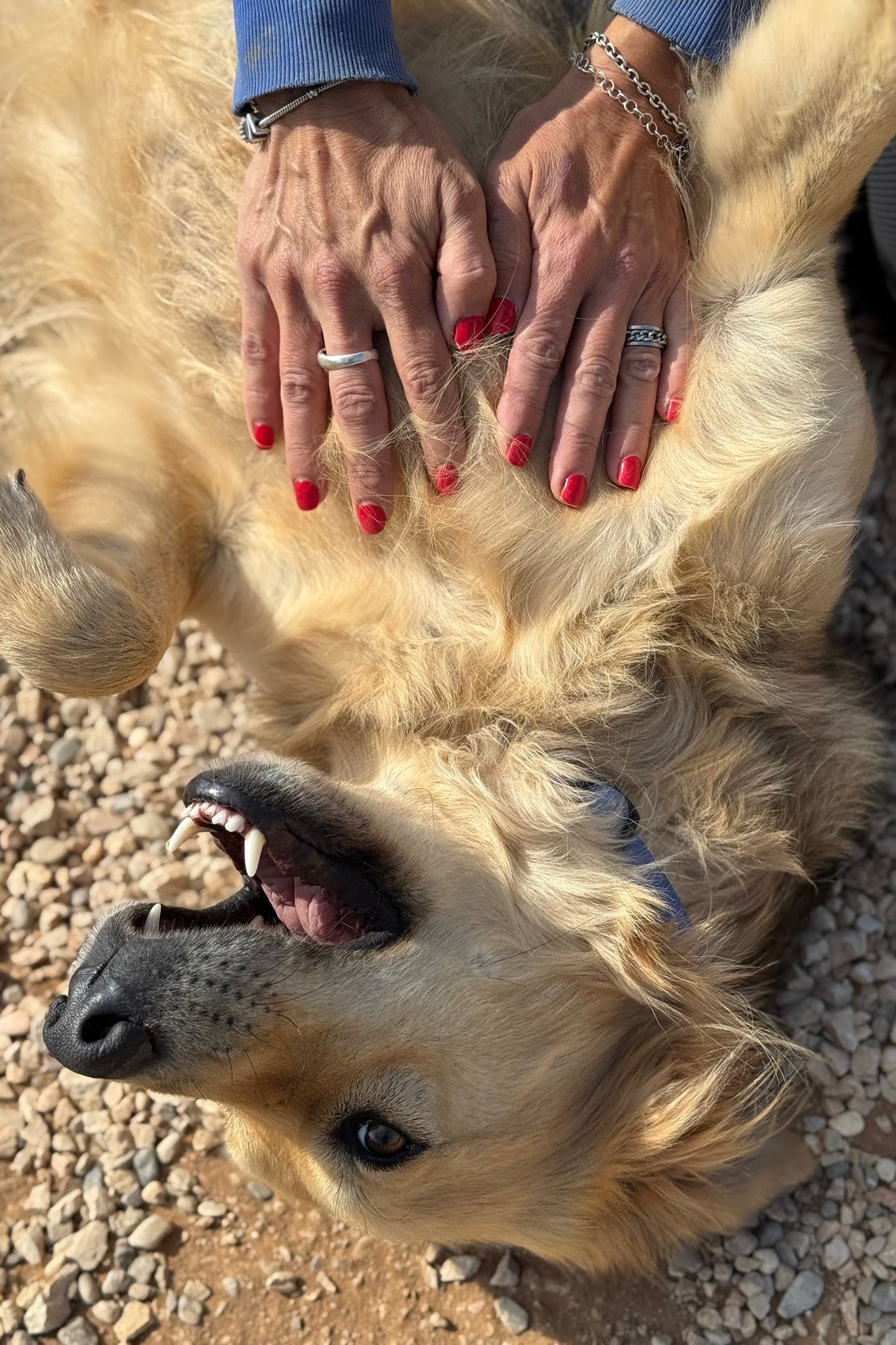 251018_Gulliver – 5