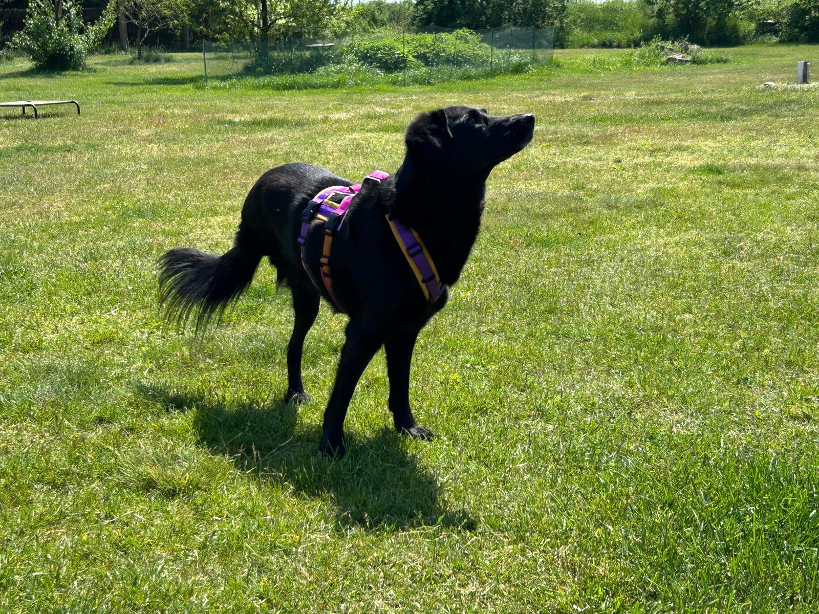 260523_Blacky_1