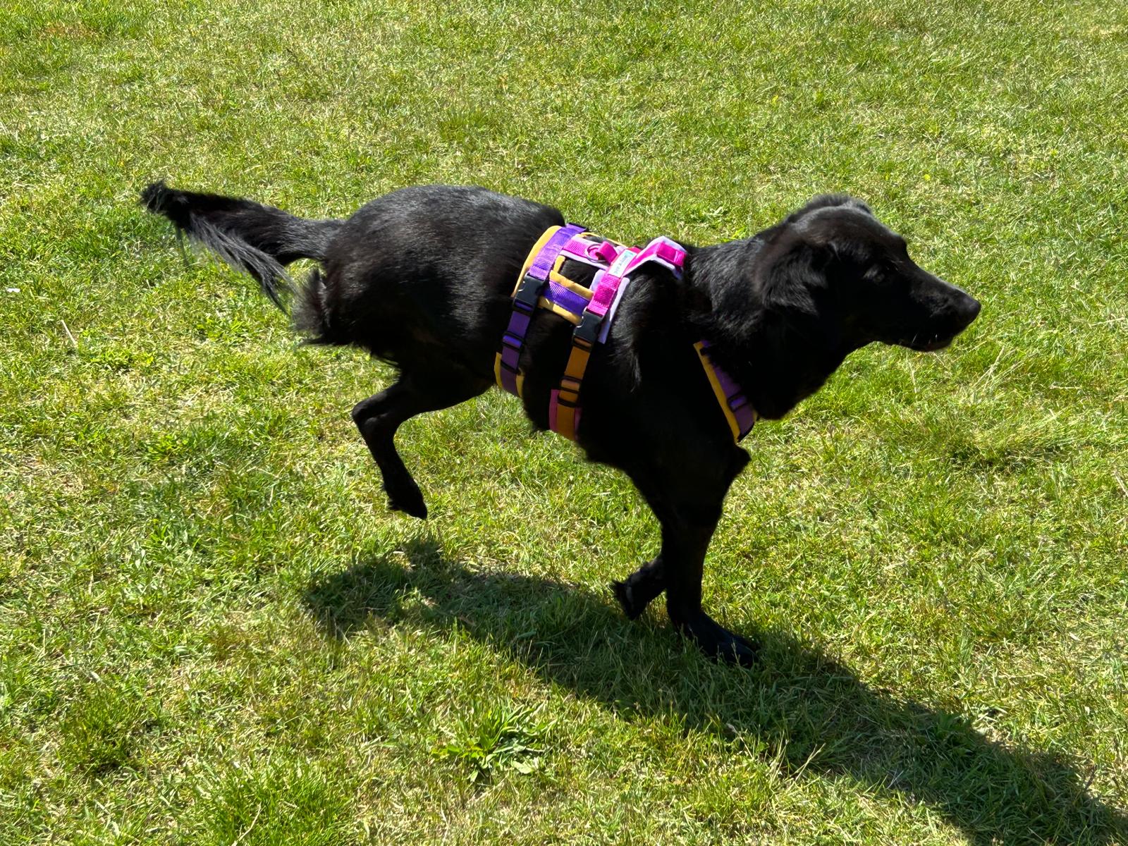 260523_Blacky_2