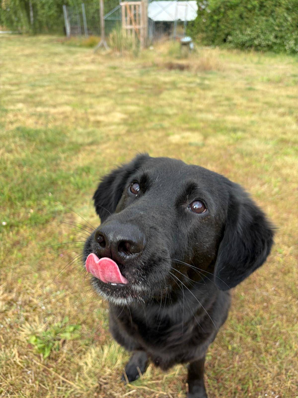 260616_Blacky_02