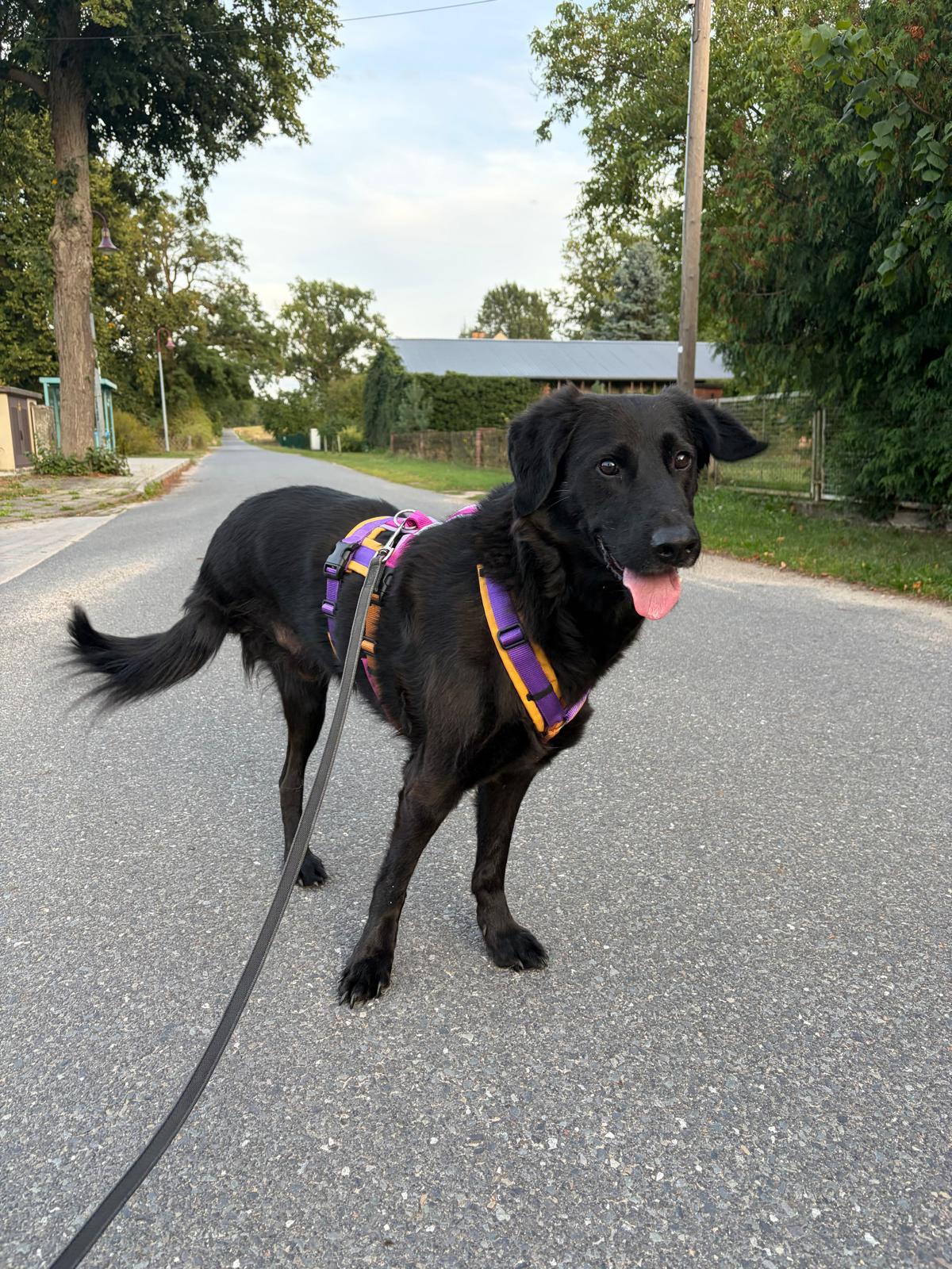 260830_Blacky_1