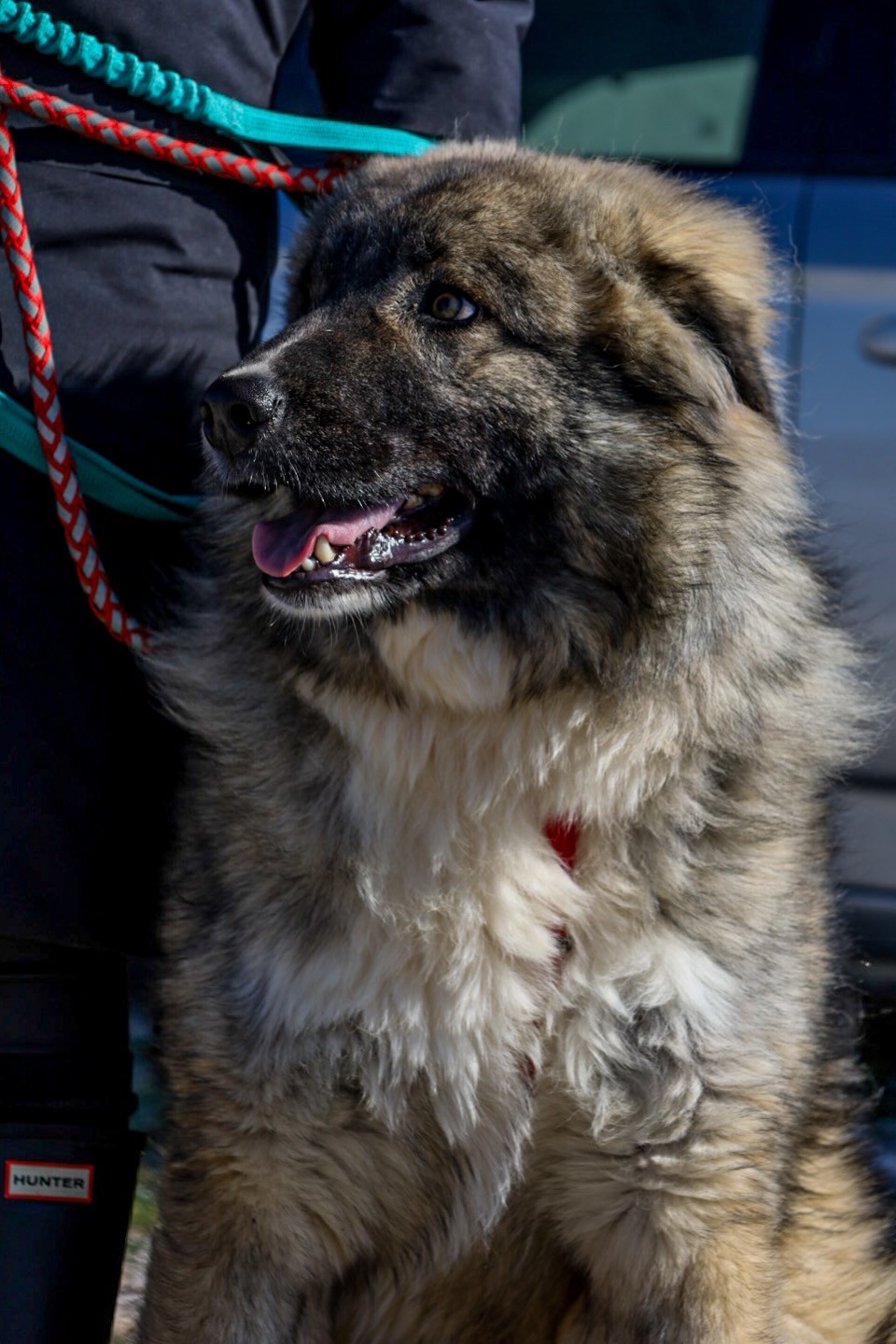 260202_Mozart – 10