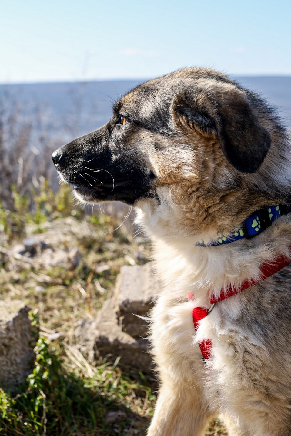 260202_Oksana – 11