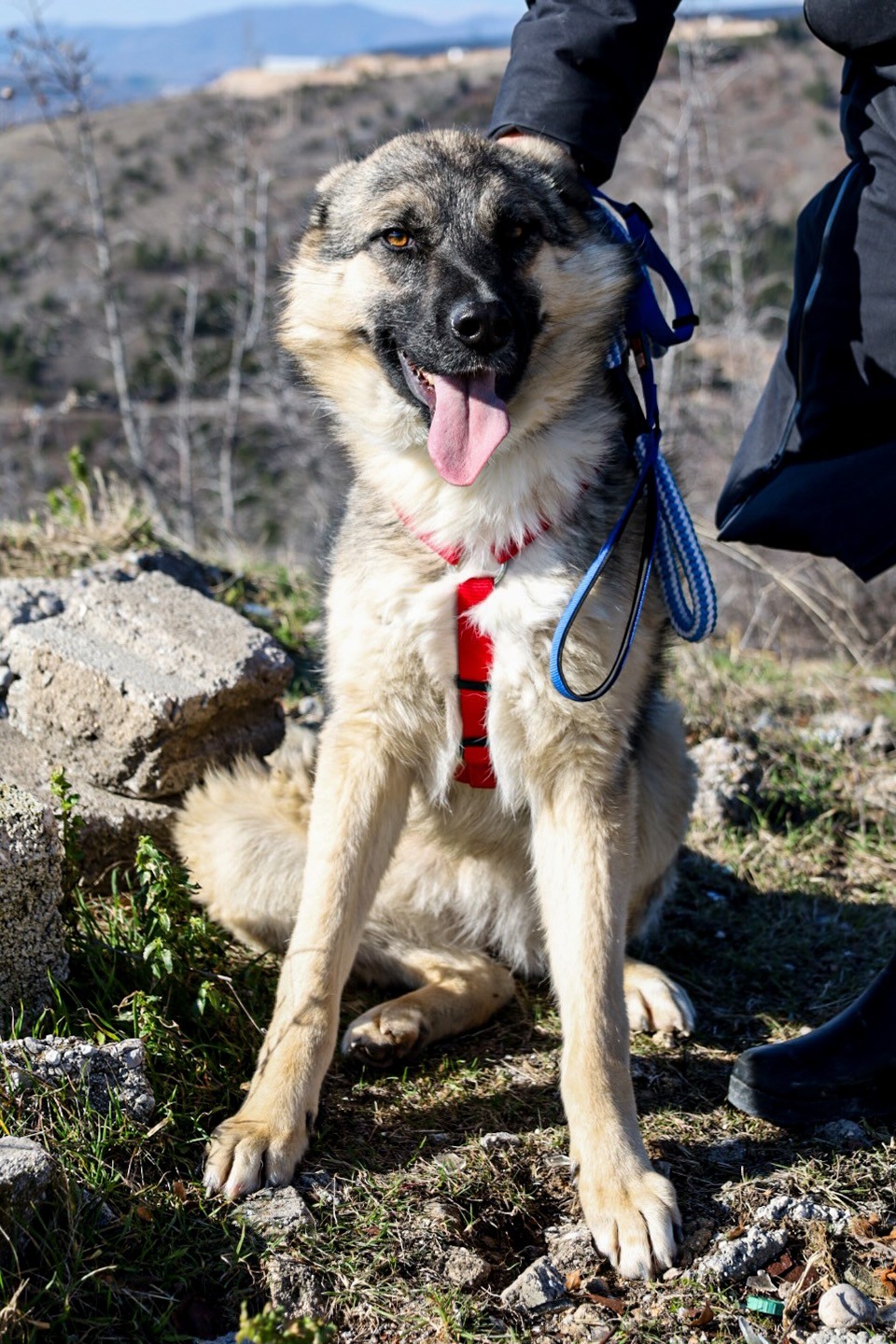 260202_Oksana – 12