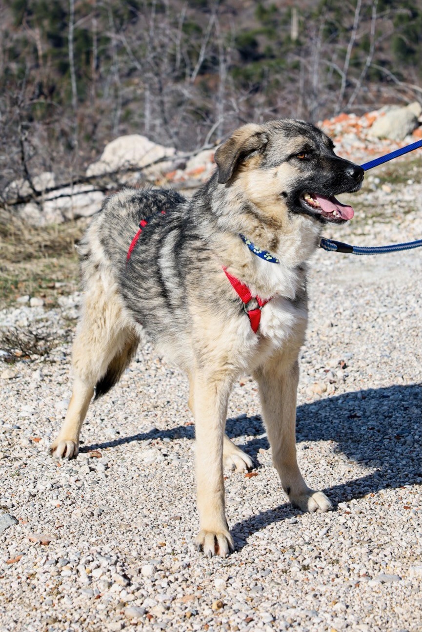 260202_Oksana – 16