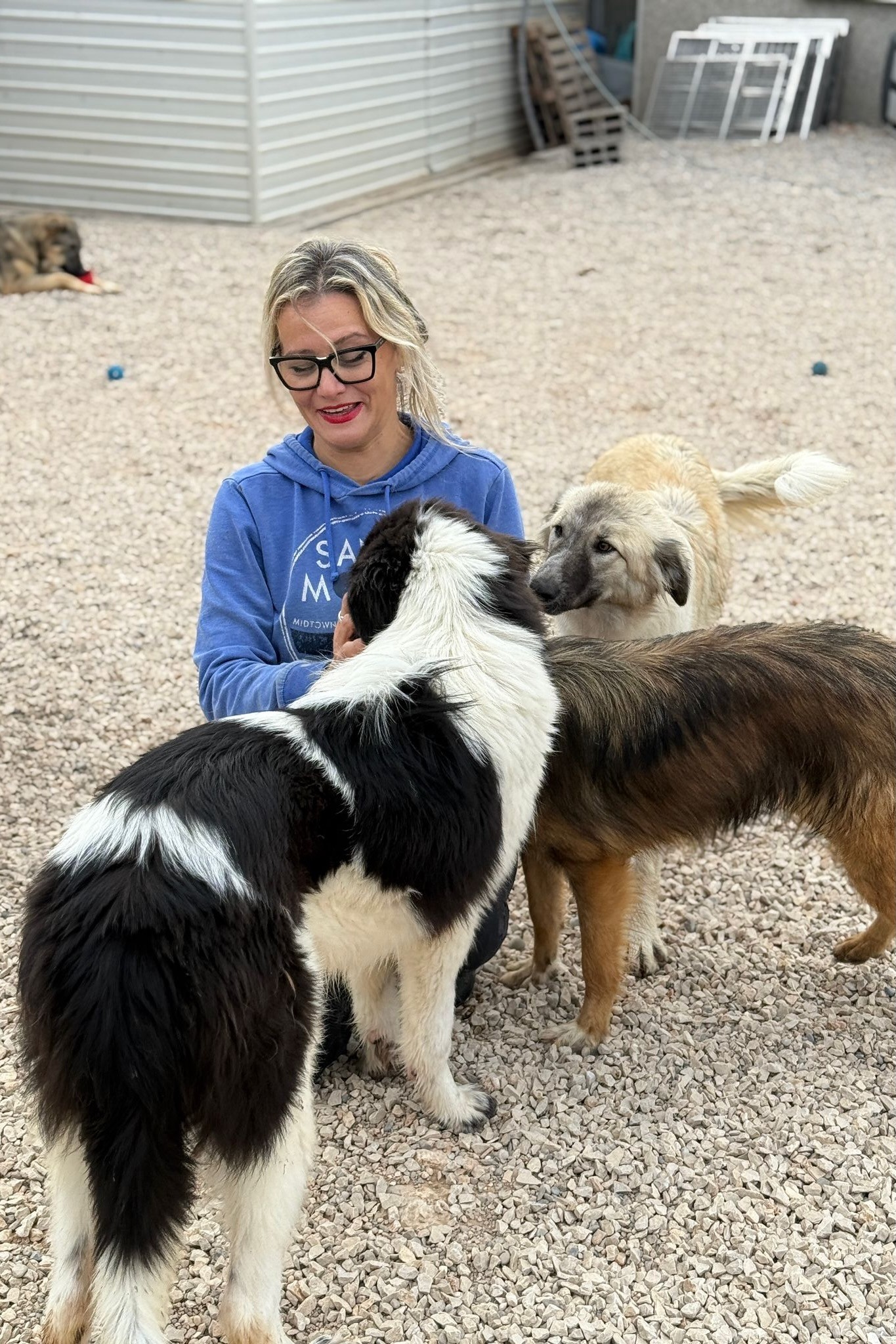 251018_Morrisson_Everest_Liesa