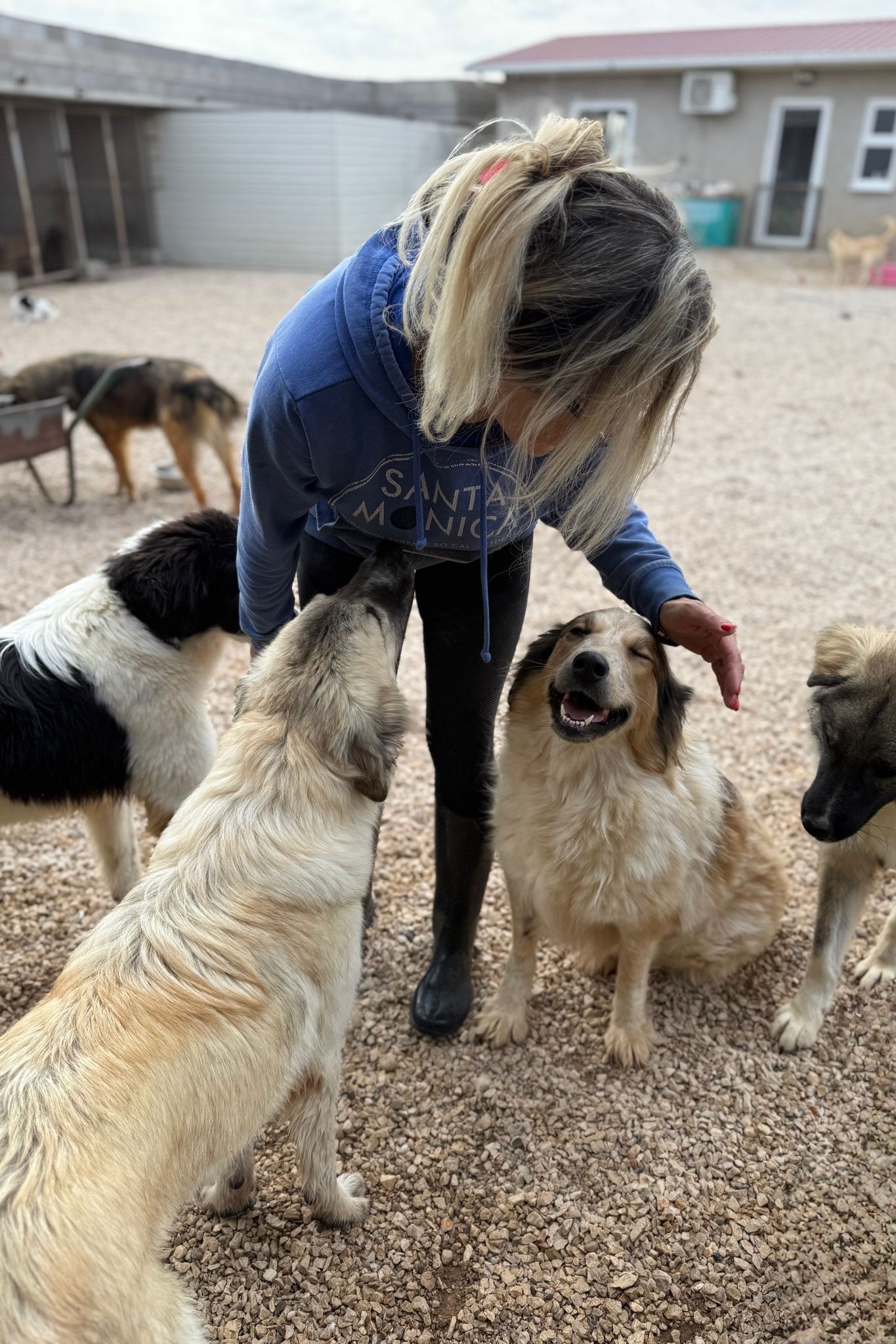 251018_Morrisson_Liesa_Miss_Lotti_Mozart