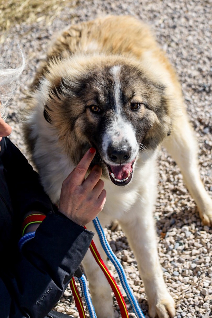 260202_Bandon – 10