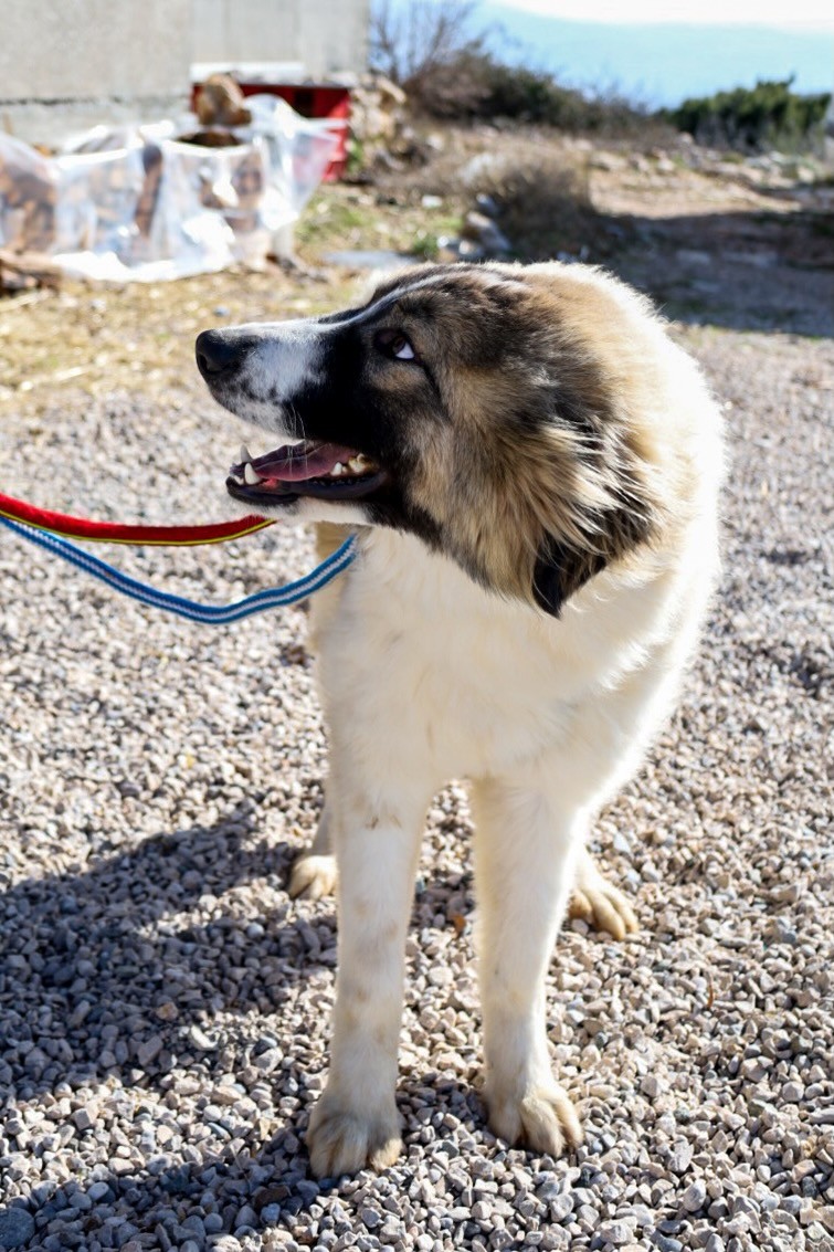 260202_Bandon – 11