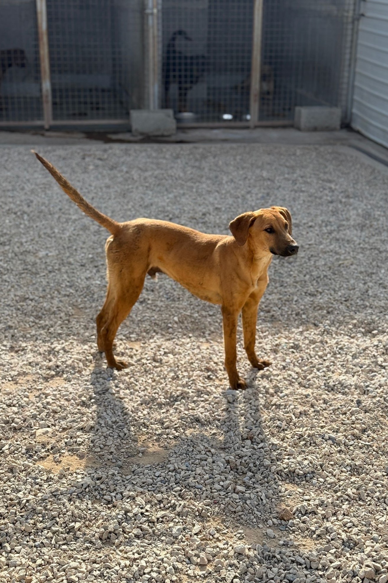 251018_Fridtjof – 1