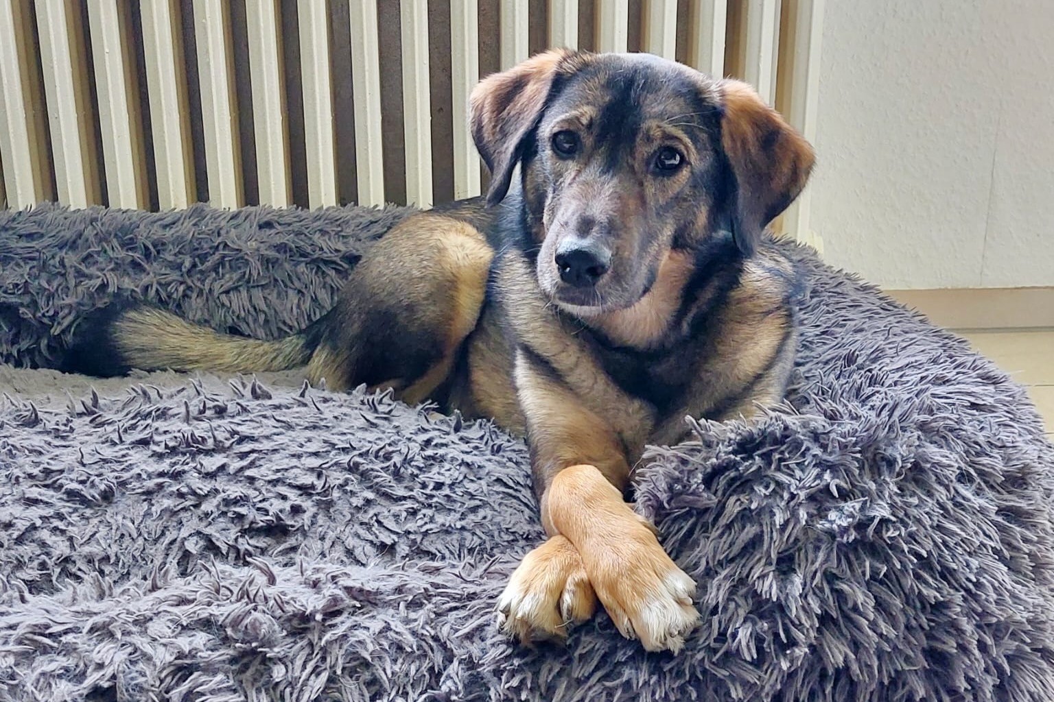 260413_Kassandra – 1