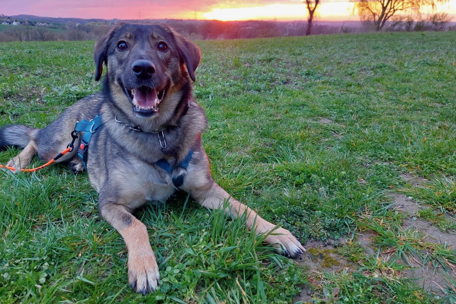 260413_Kassandra – 2