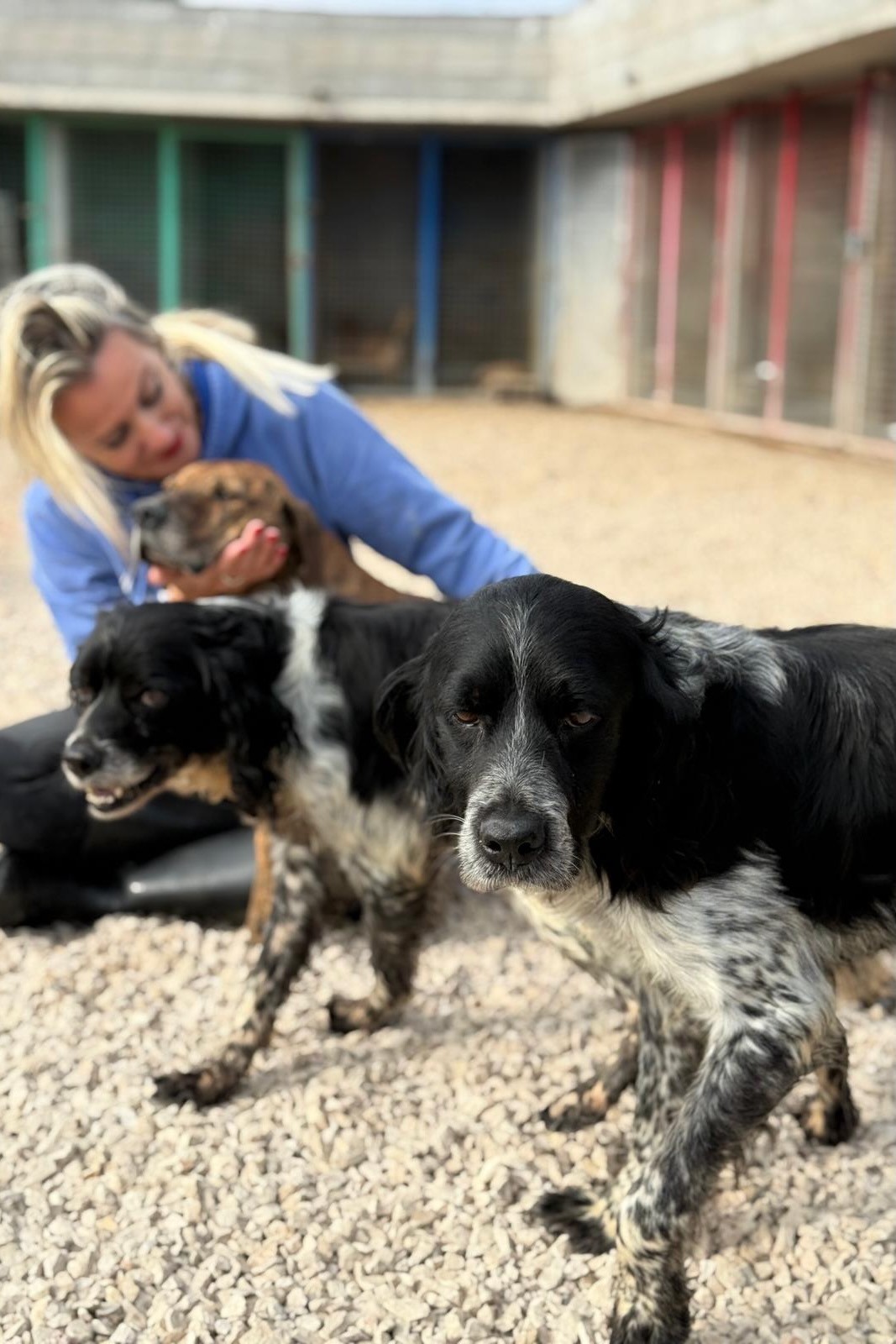 251018_Flek_Dina – 4