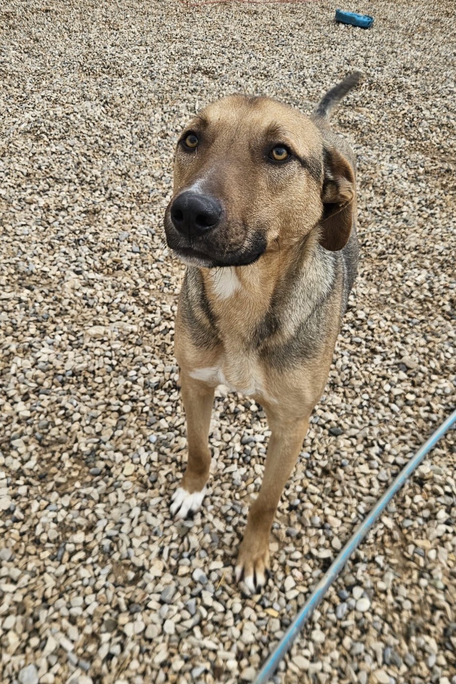 260214_Alessio – 1