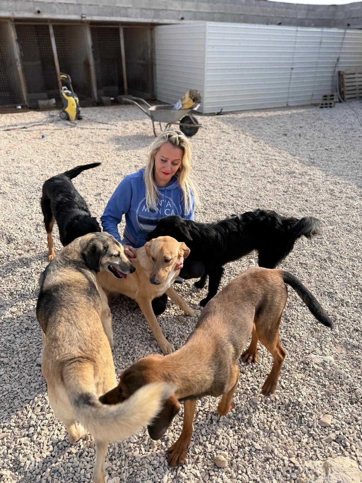 251018_Theo_Mahina_Belinda_Mistral – 1