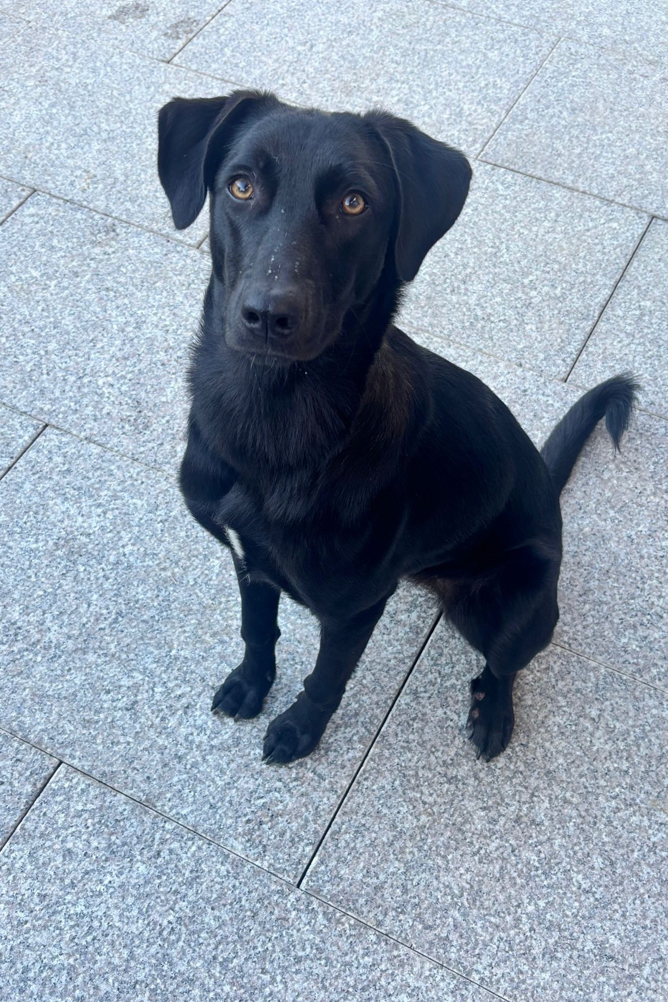 251103_Elektra – 1