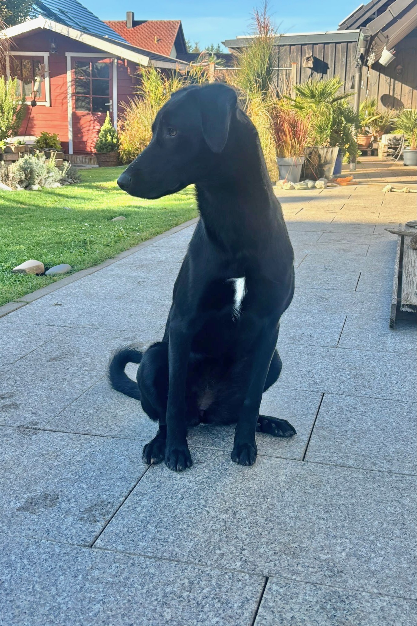 251103_Elektra – 2