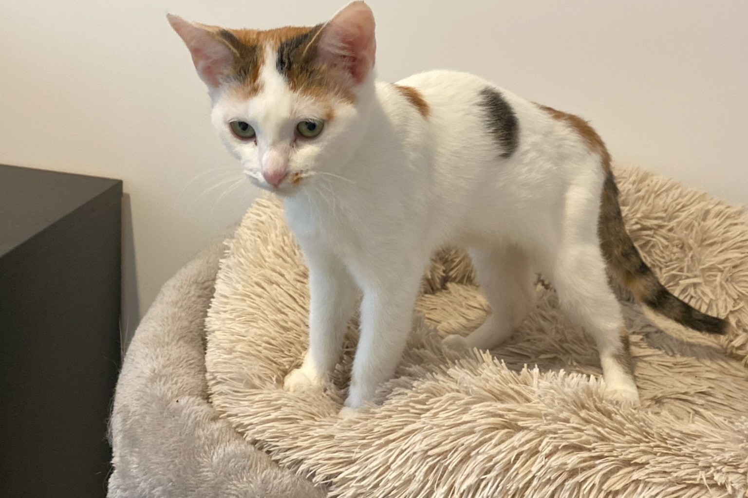 251002_Sterndal – 1