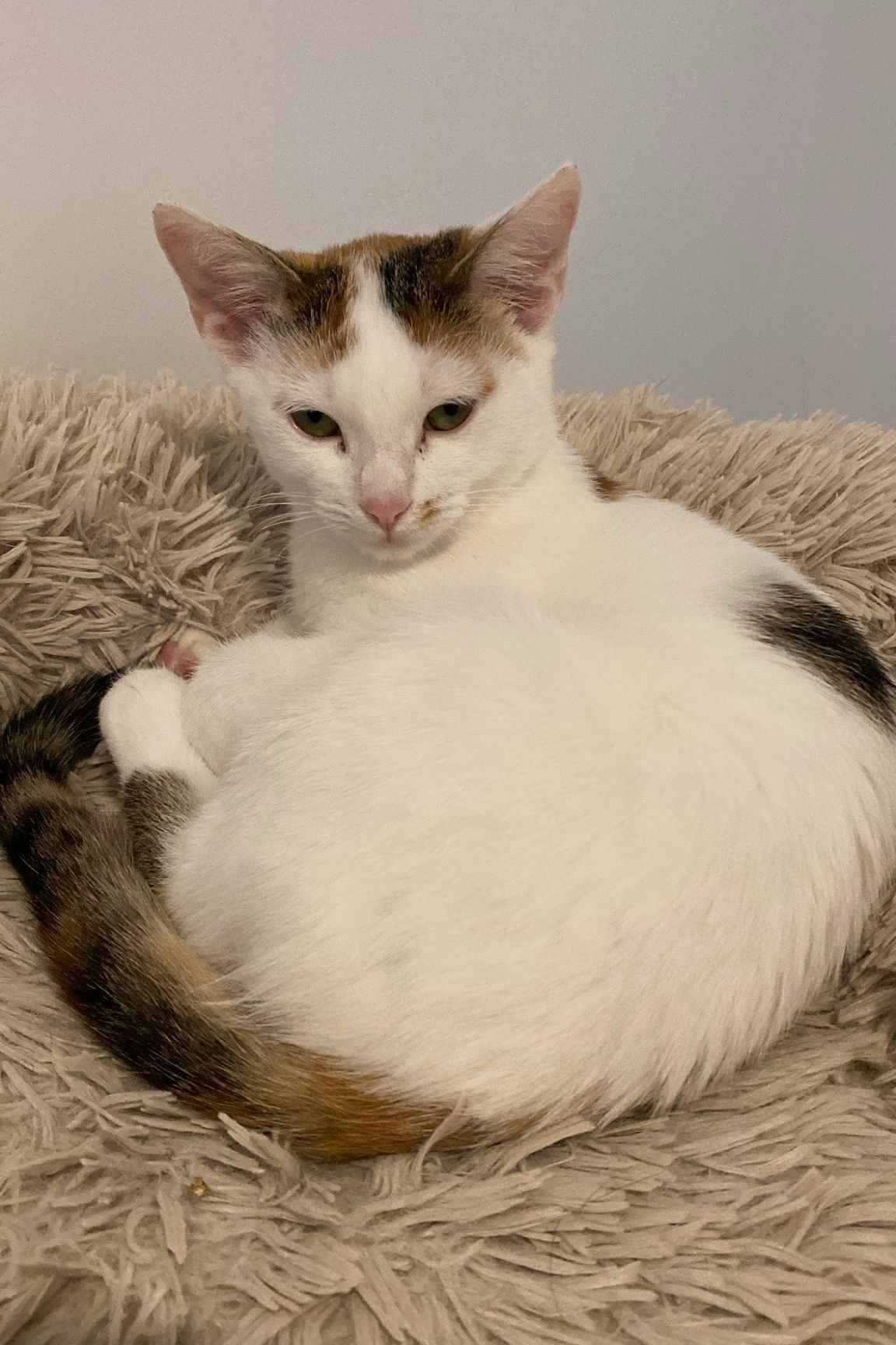 251002_Sterndal – 2