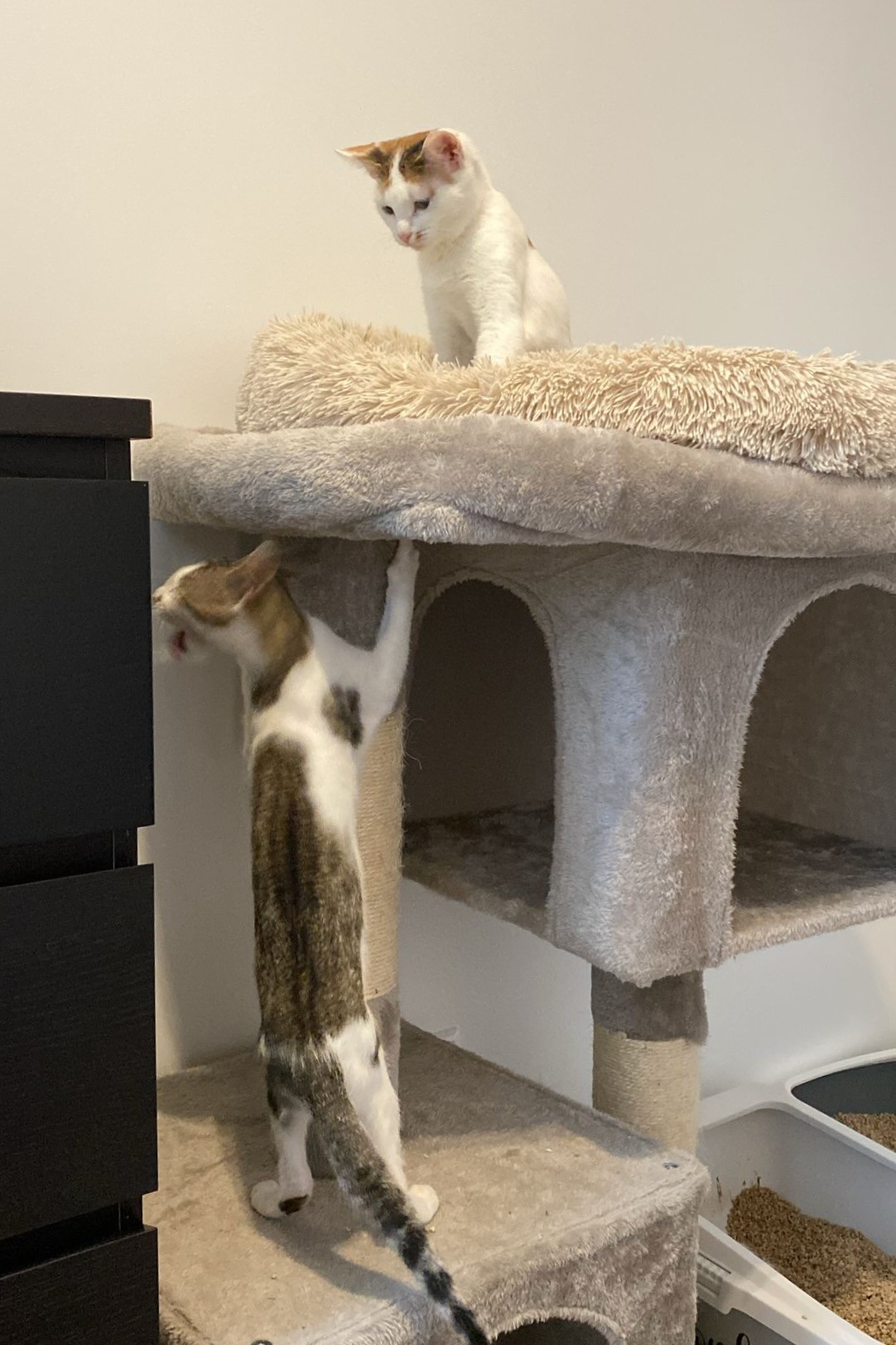 251002_Sterndal – 3