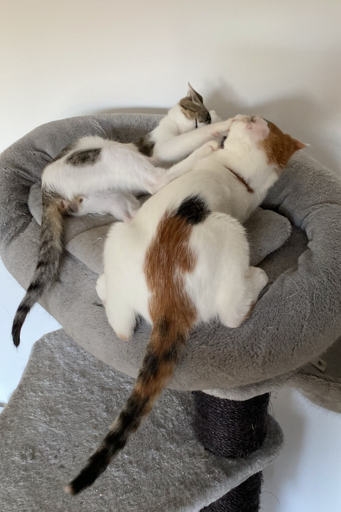 251002_Sterndal – 4