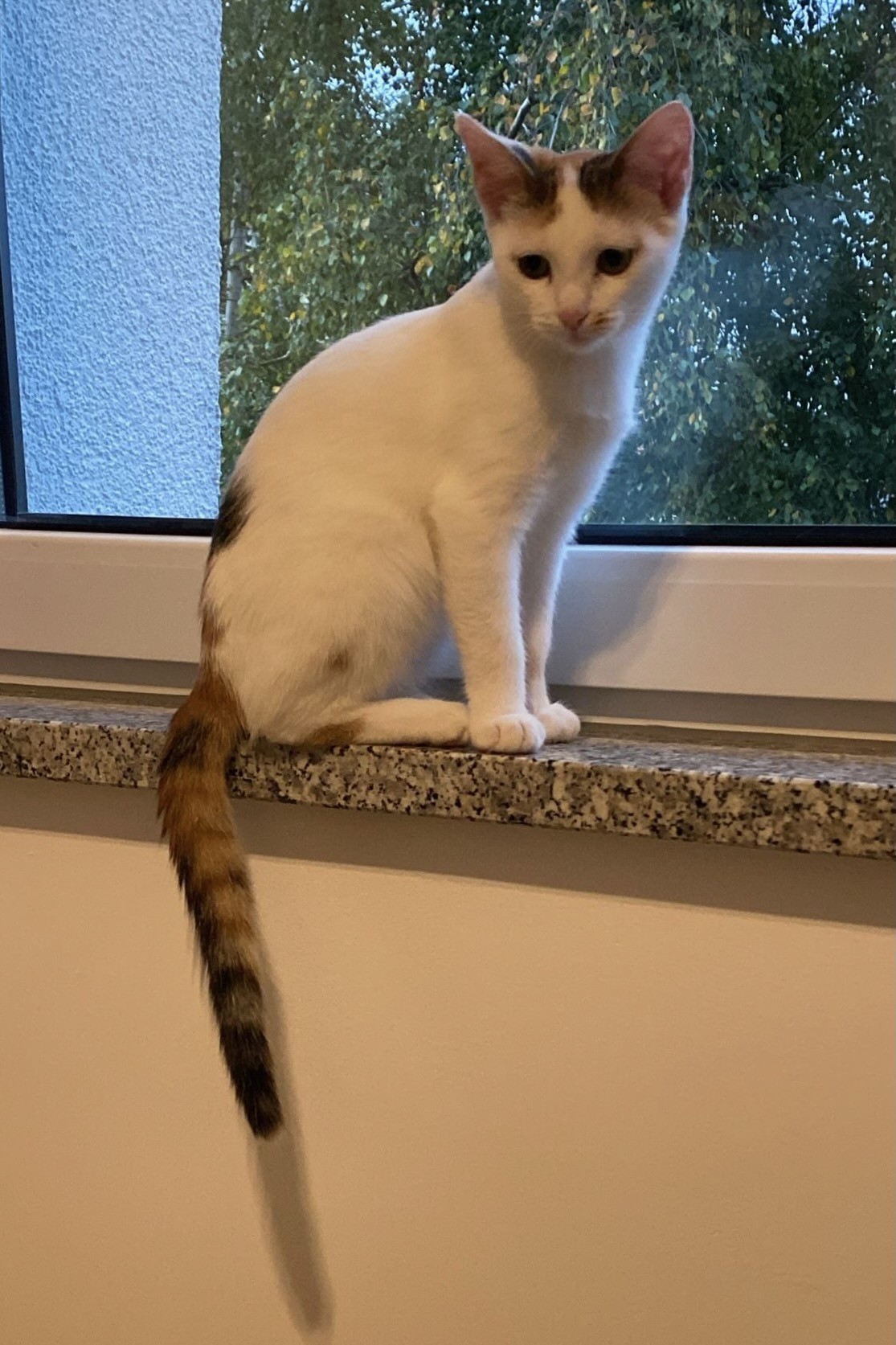 251002_Sterndal – 5