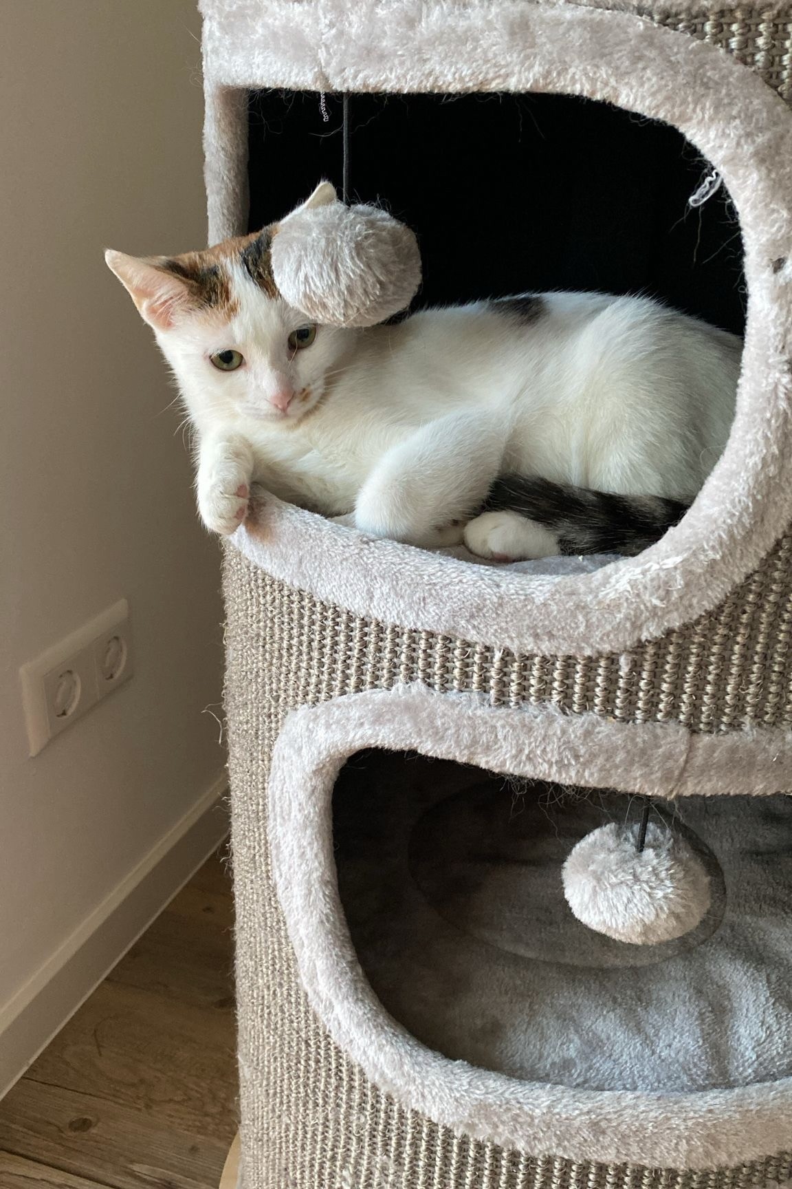 251007_Sterndal – 1