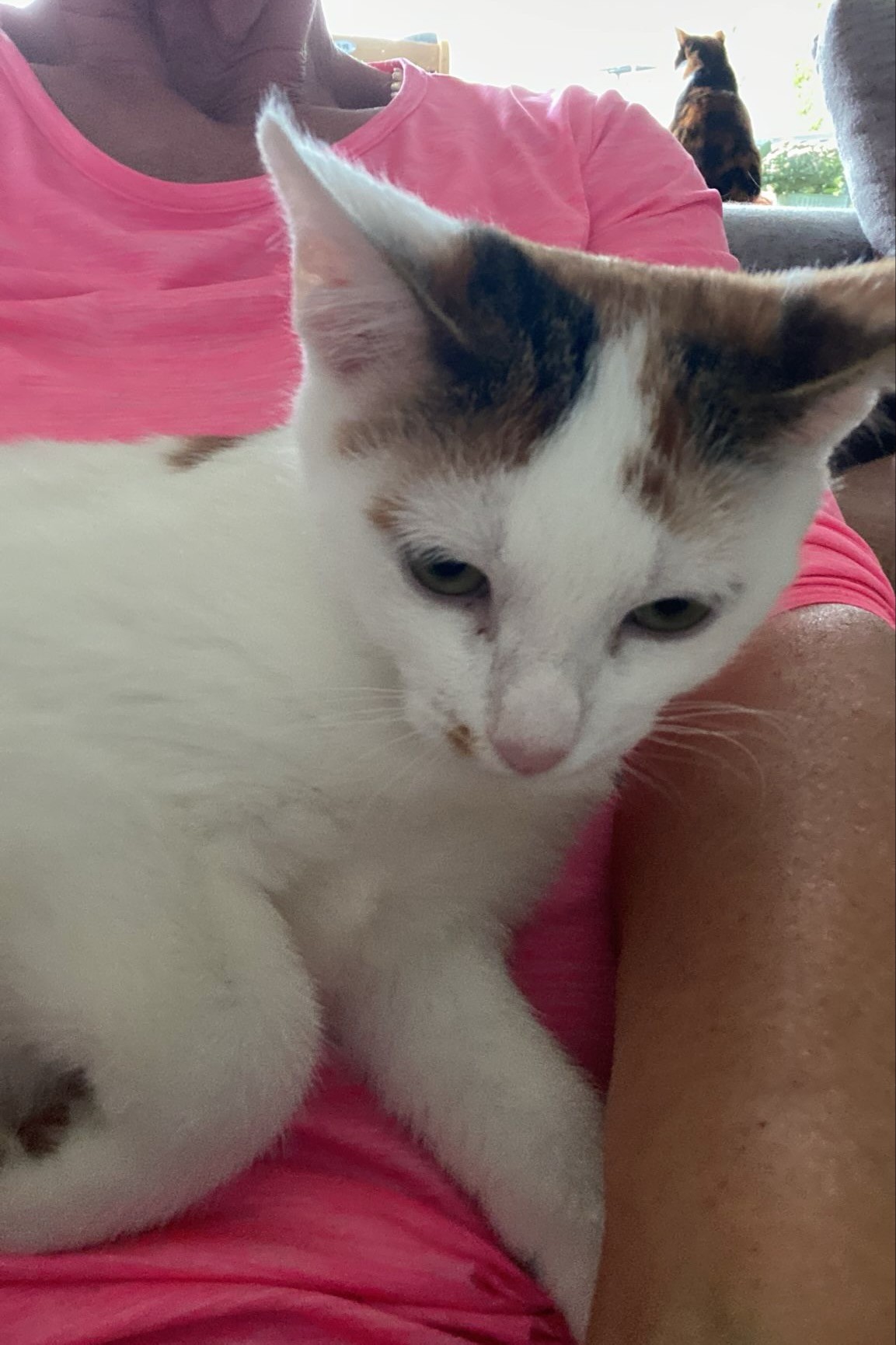 251007_Sterndal – 2