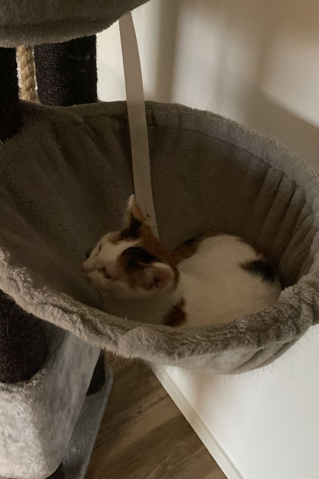 251007_Sterndal – 3