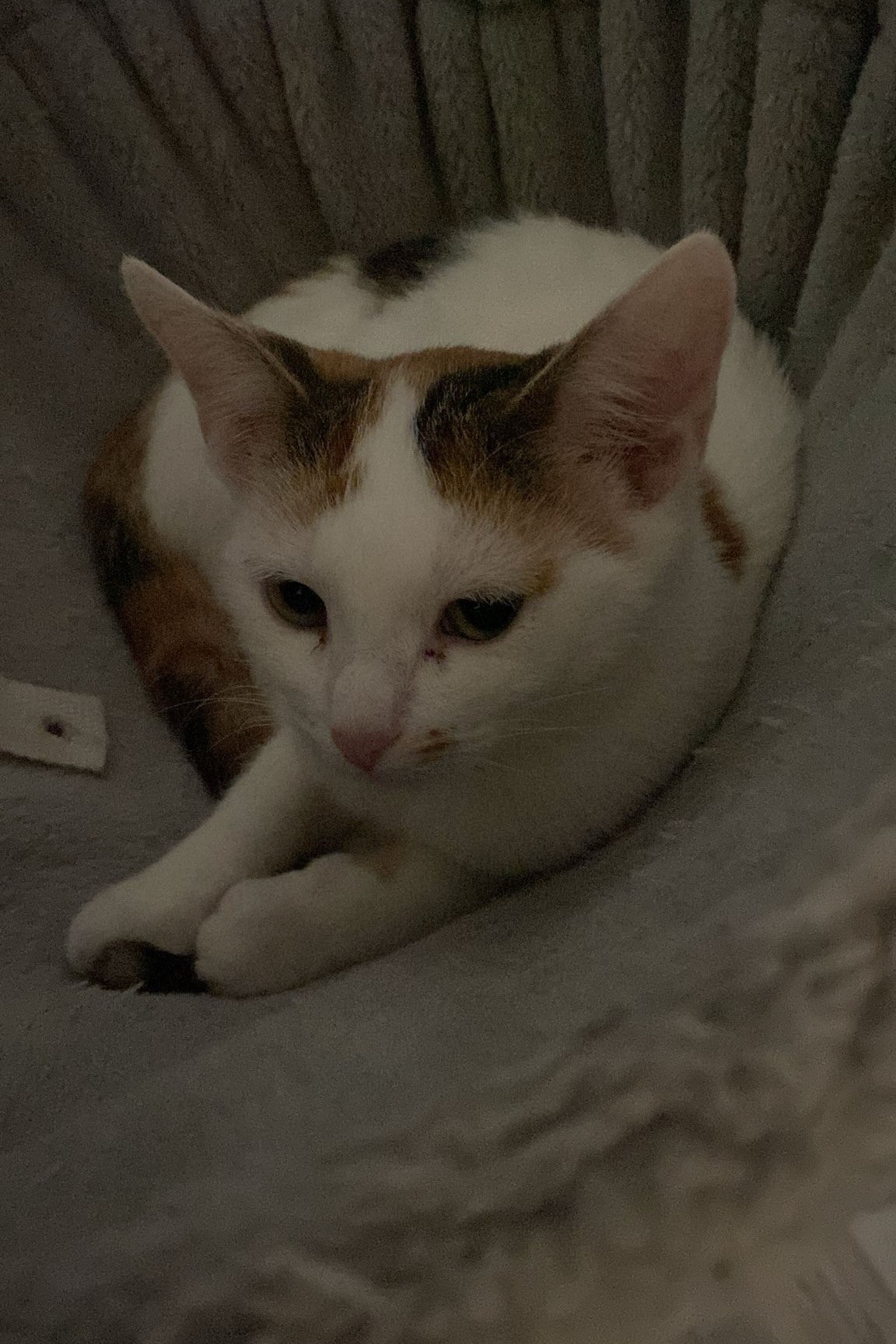 251007_Sterndal – 4