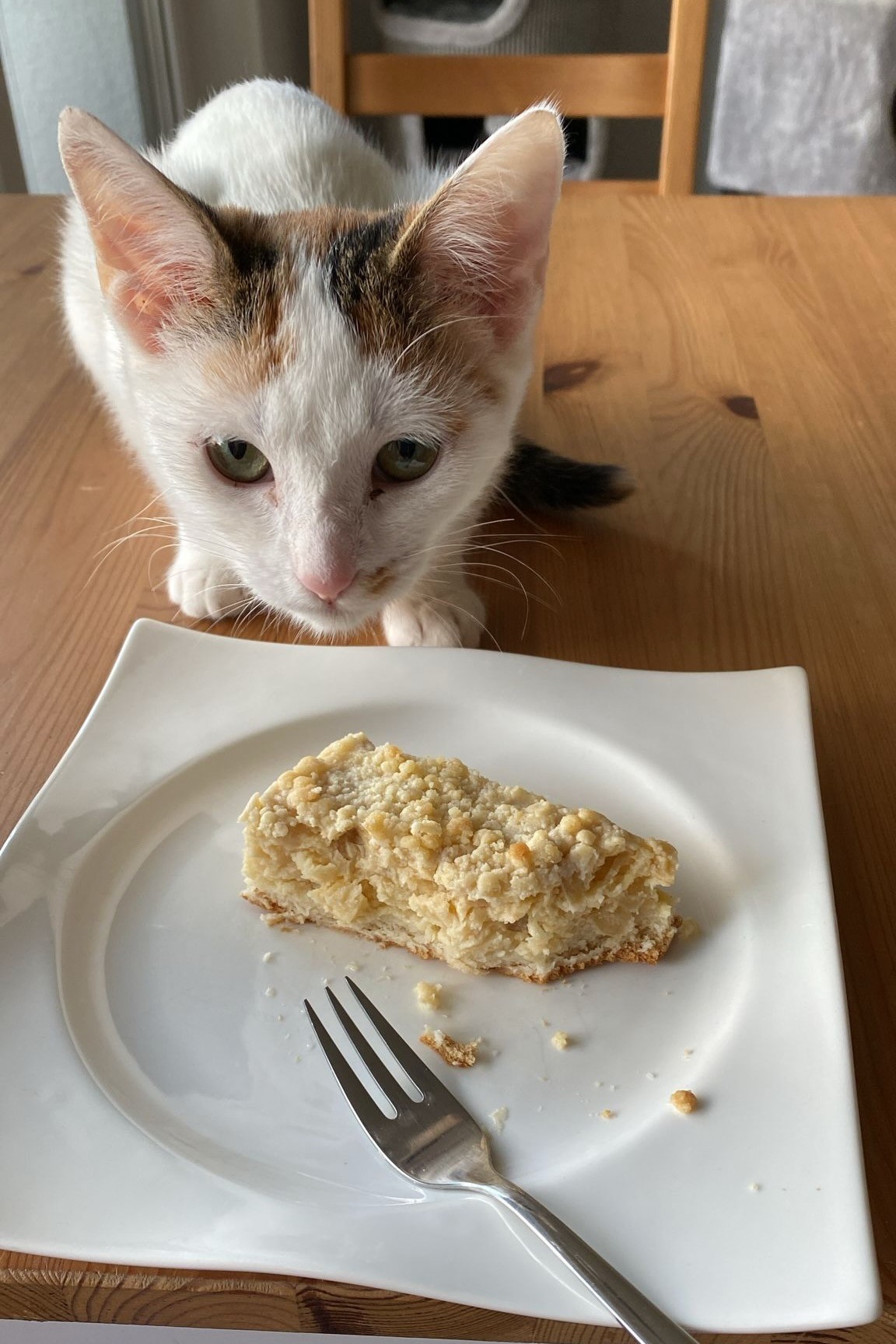 251007_Sterndal – 5