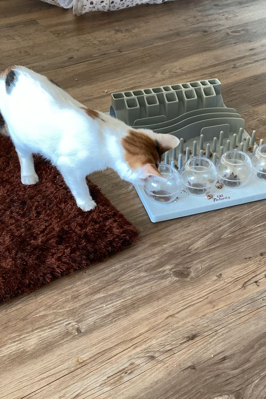 251007_Sterndal – 6