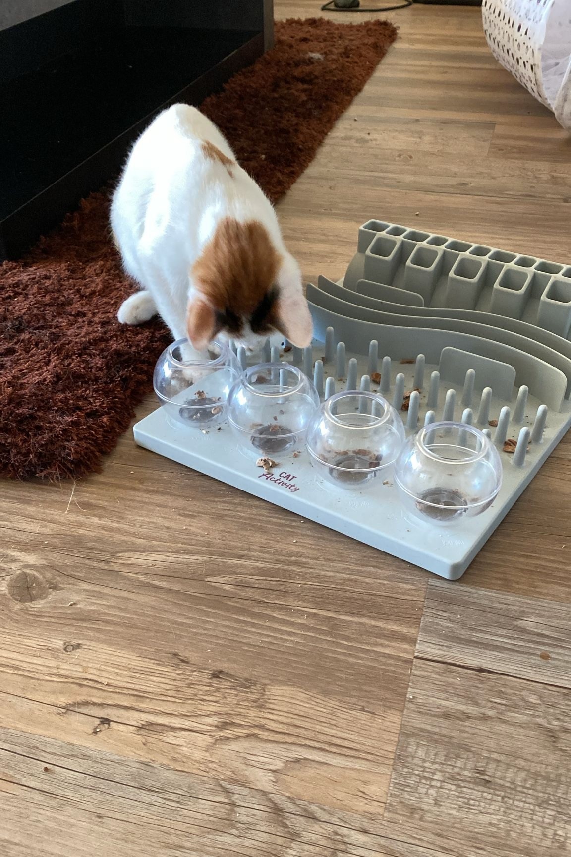 251007_Sterndal – 7