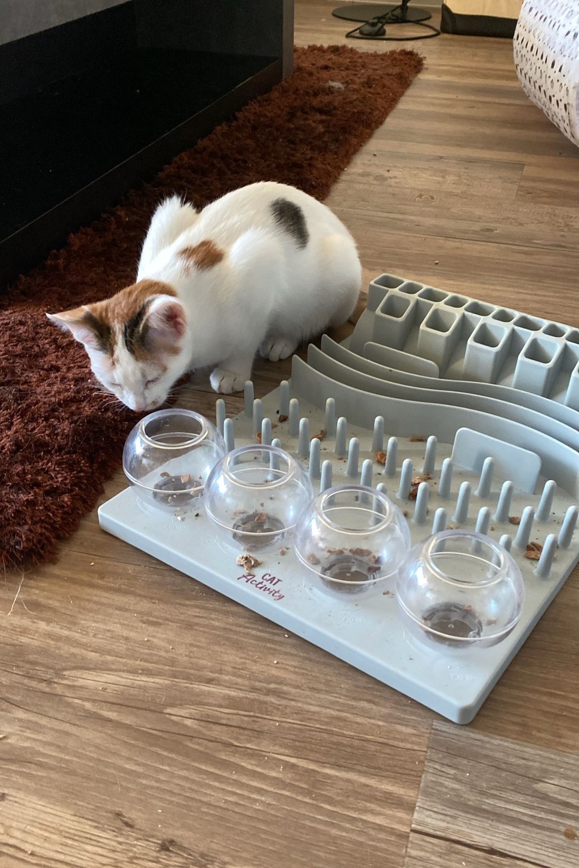 251007_Sterndal – 8