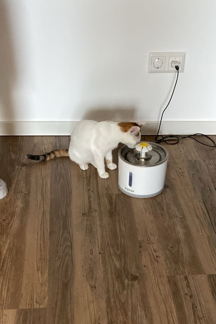 251007_Sterndal – 9