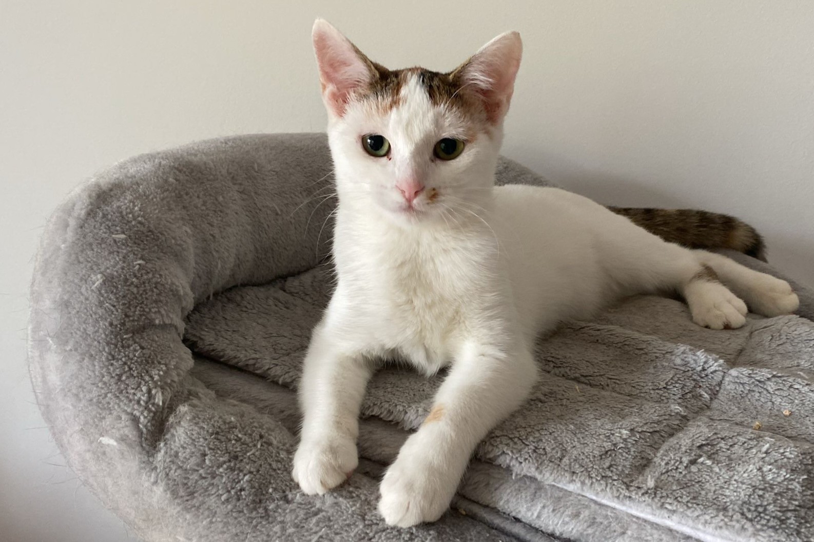 251019_Sterndal – 1