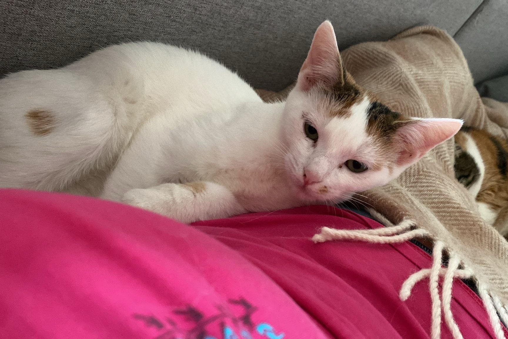 251019_Sterndal – 2