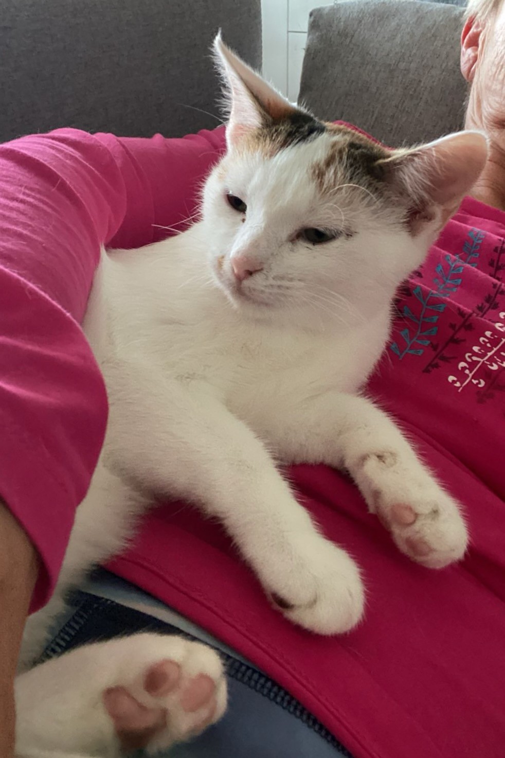 251019_Sterndal – 3