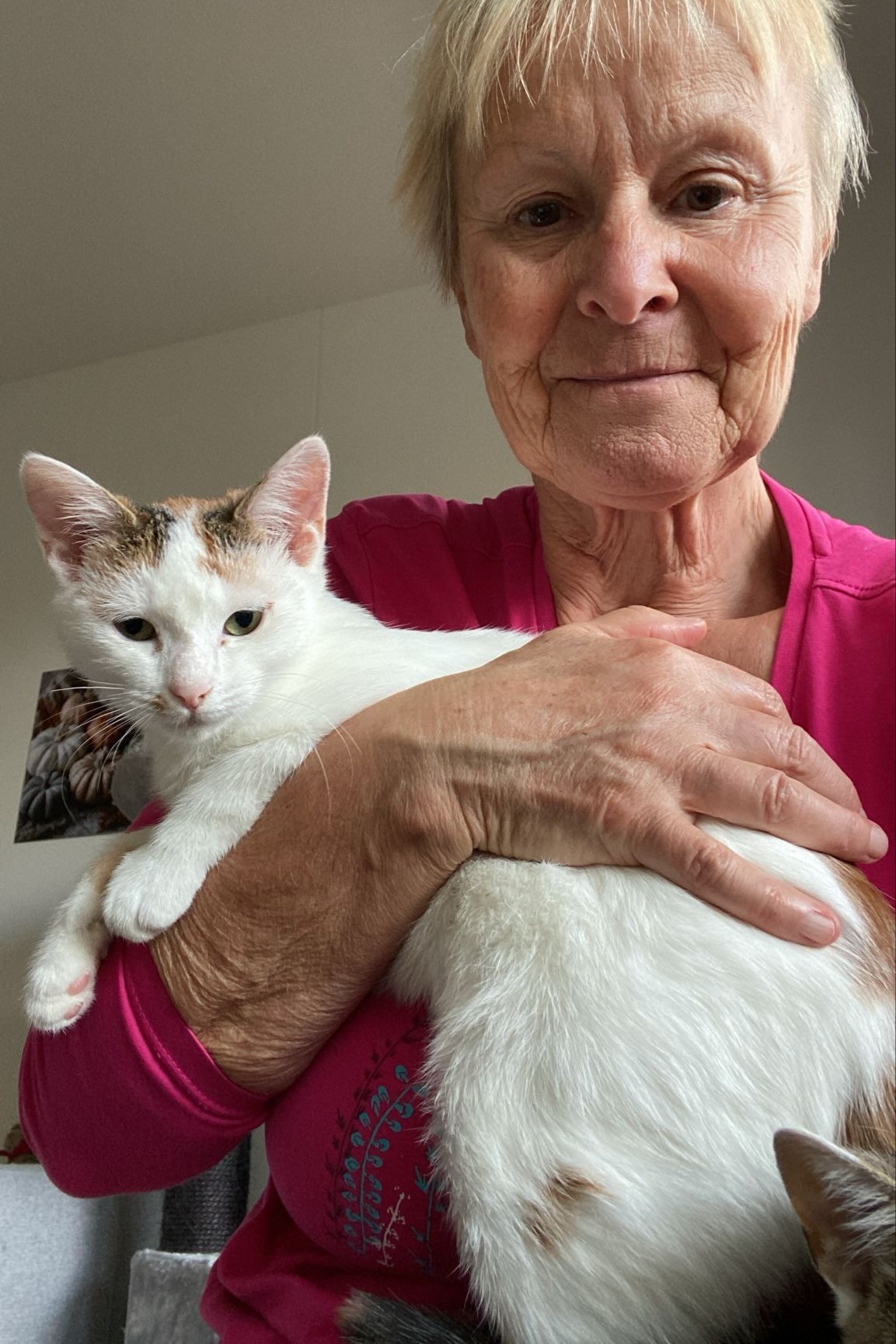 251019_Sterndal – 4