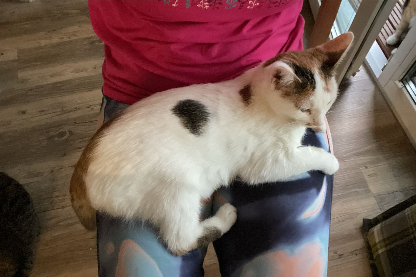 251019_Sterndal – 5