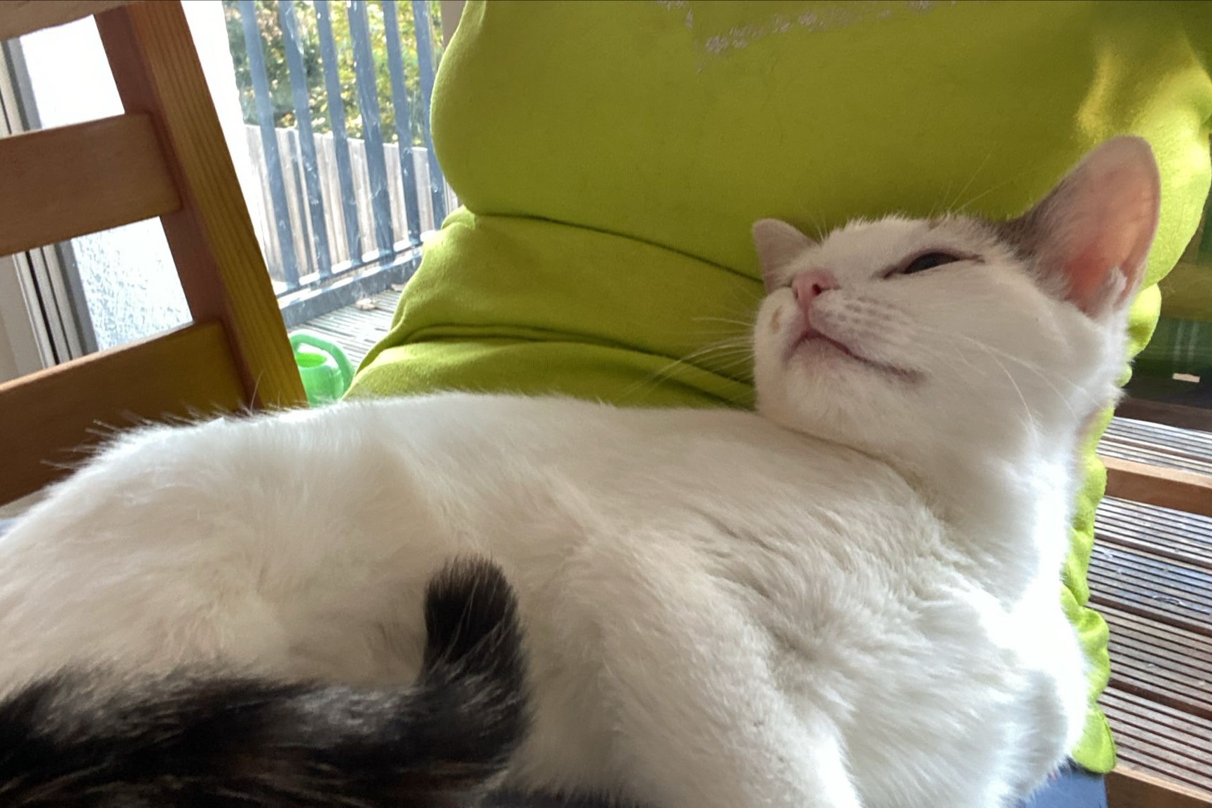 251019_Sterndal – 6