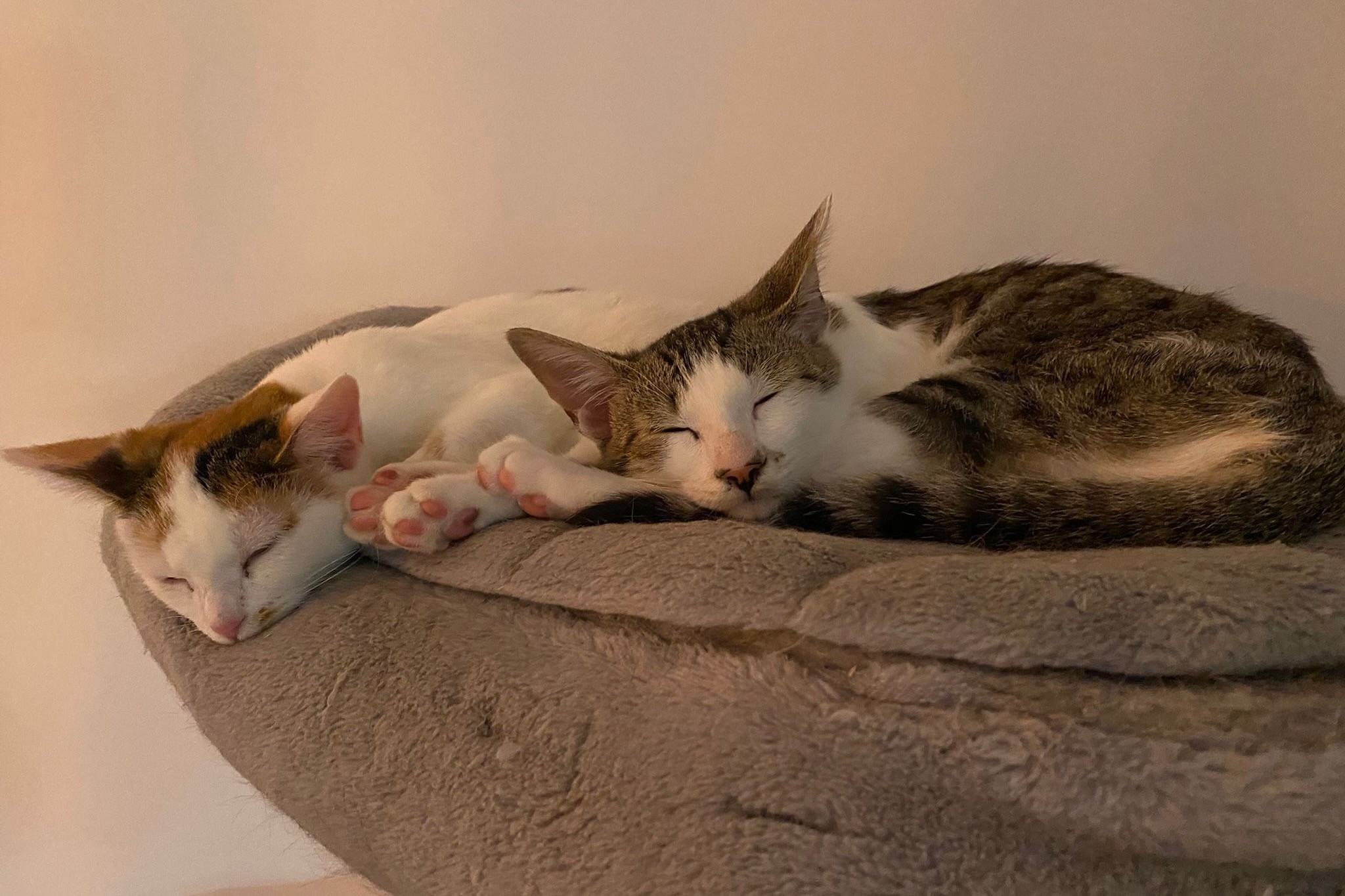 251019_Sterndal_Luggi – 1